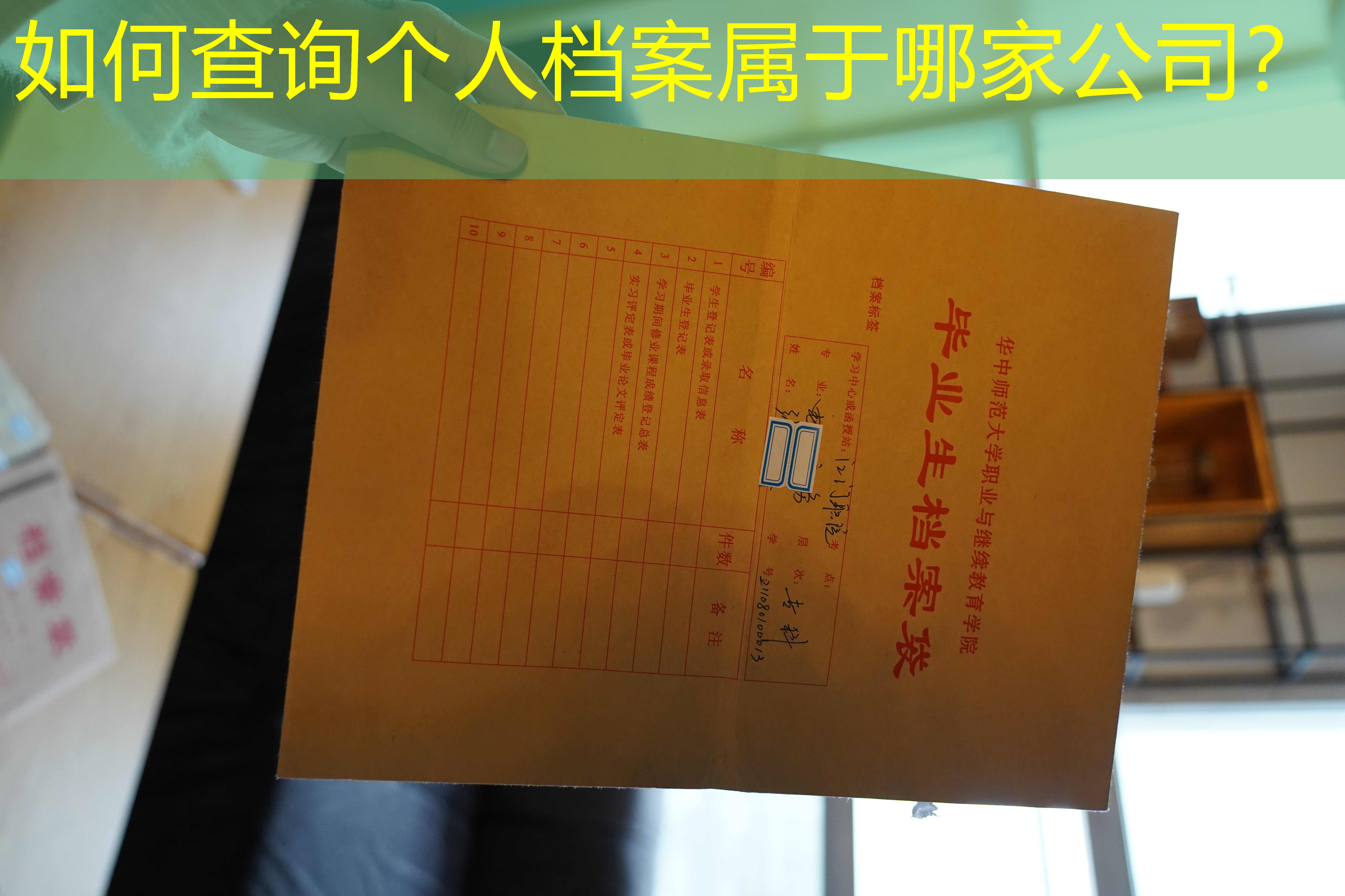 档案查询