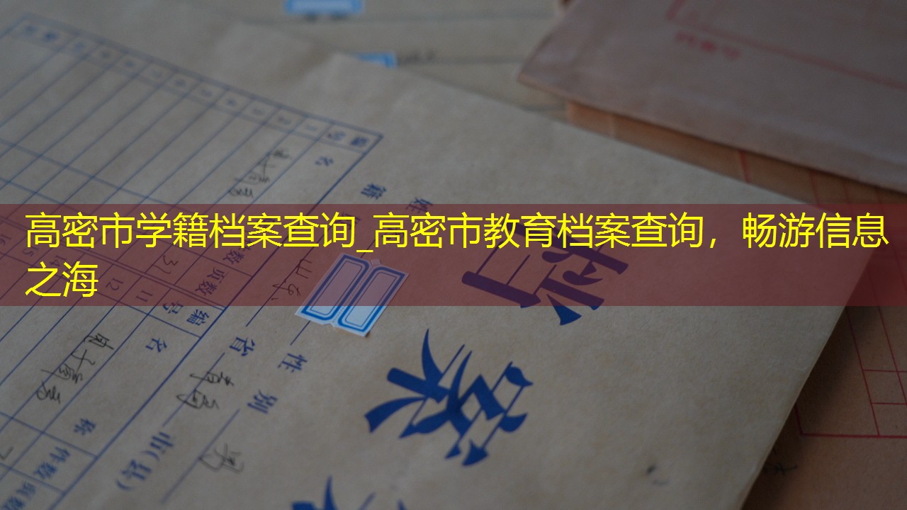 档案查询
