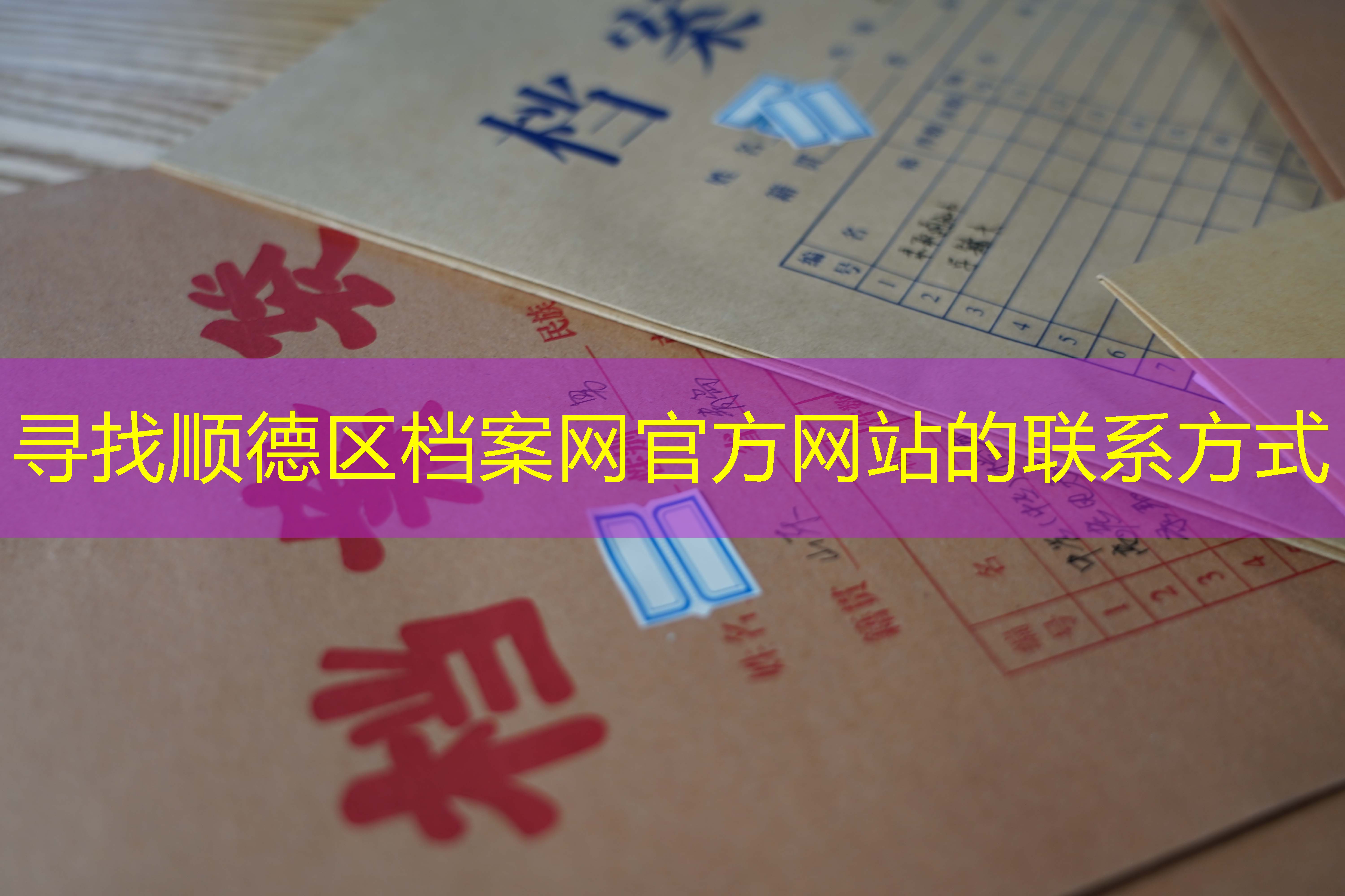 档案查询