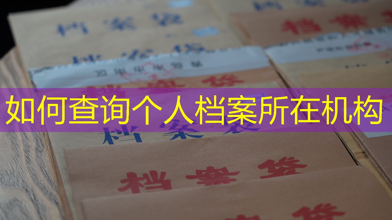 档案查询