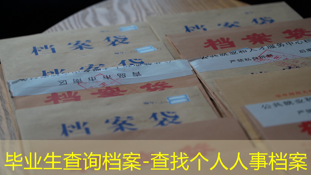 档案查询