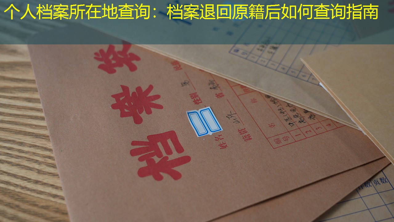 档案查询