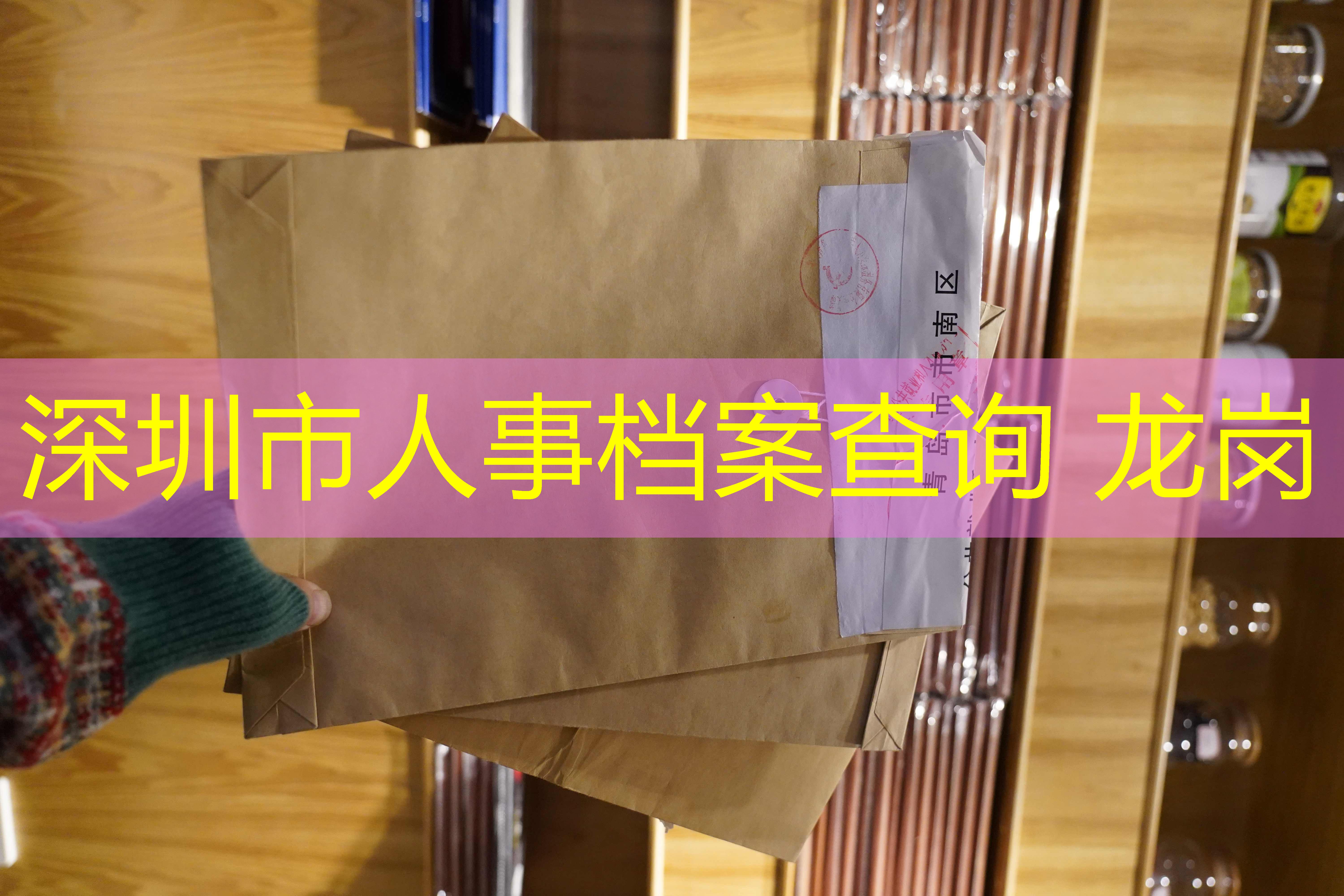 档案查询