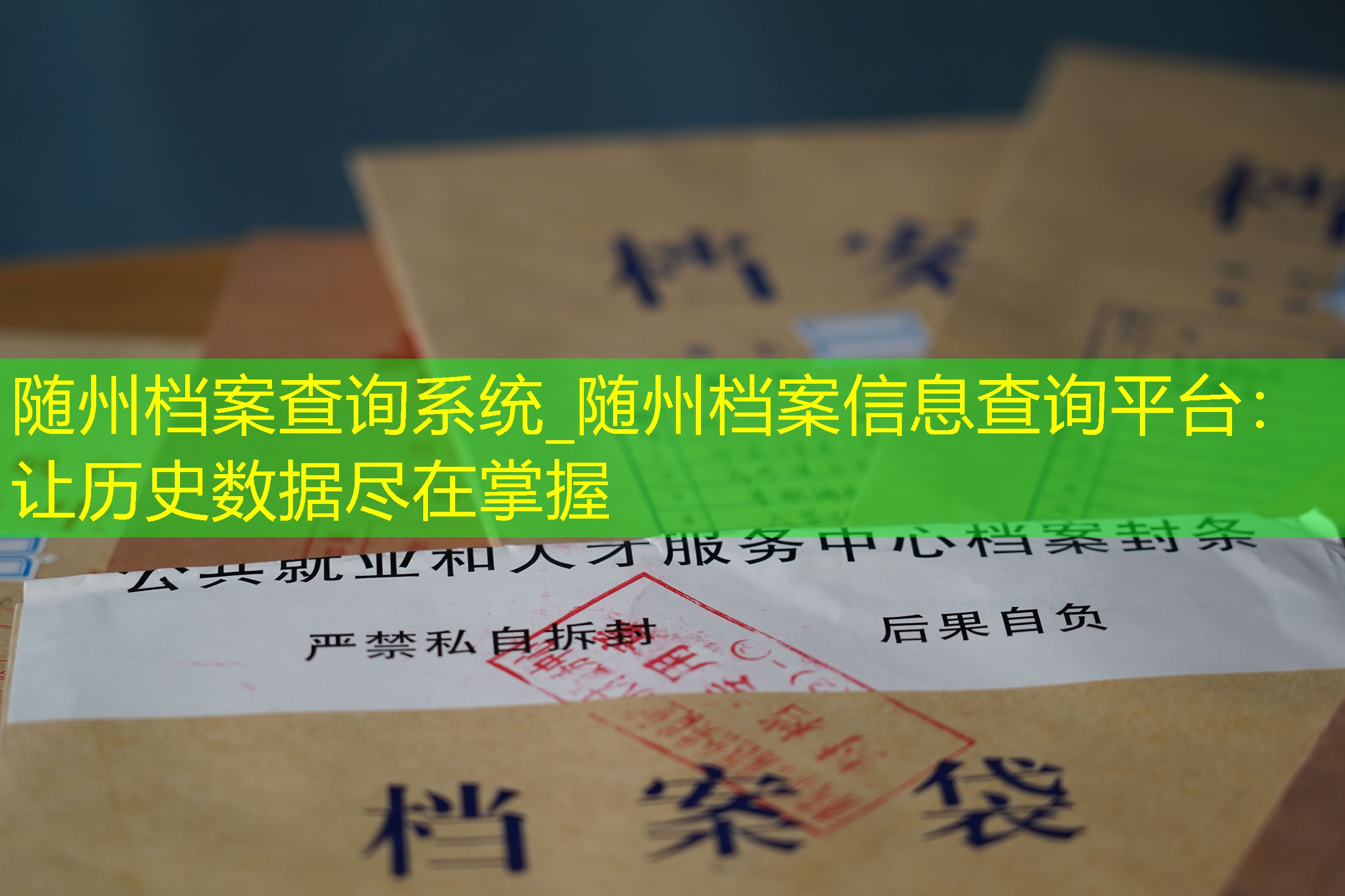 档案查询