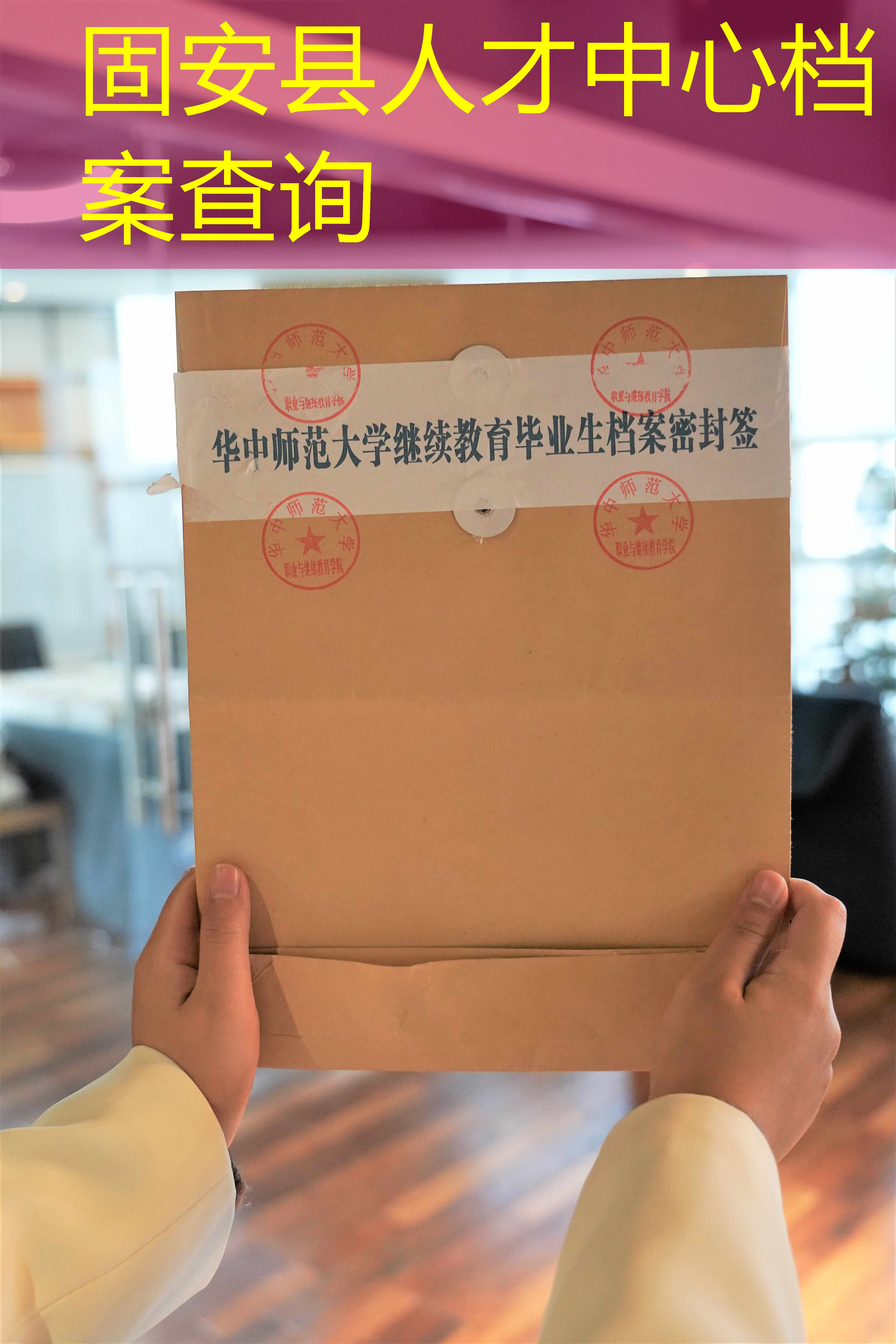档案查询