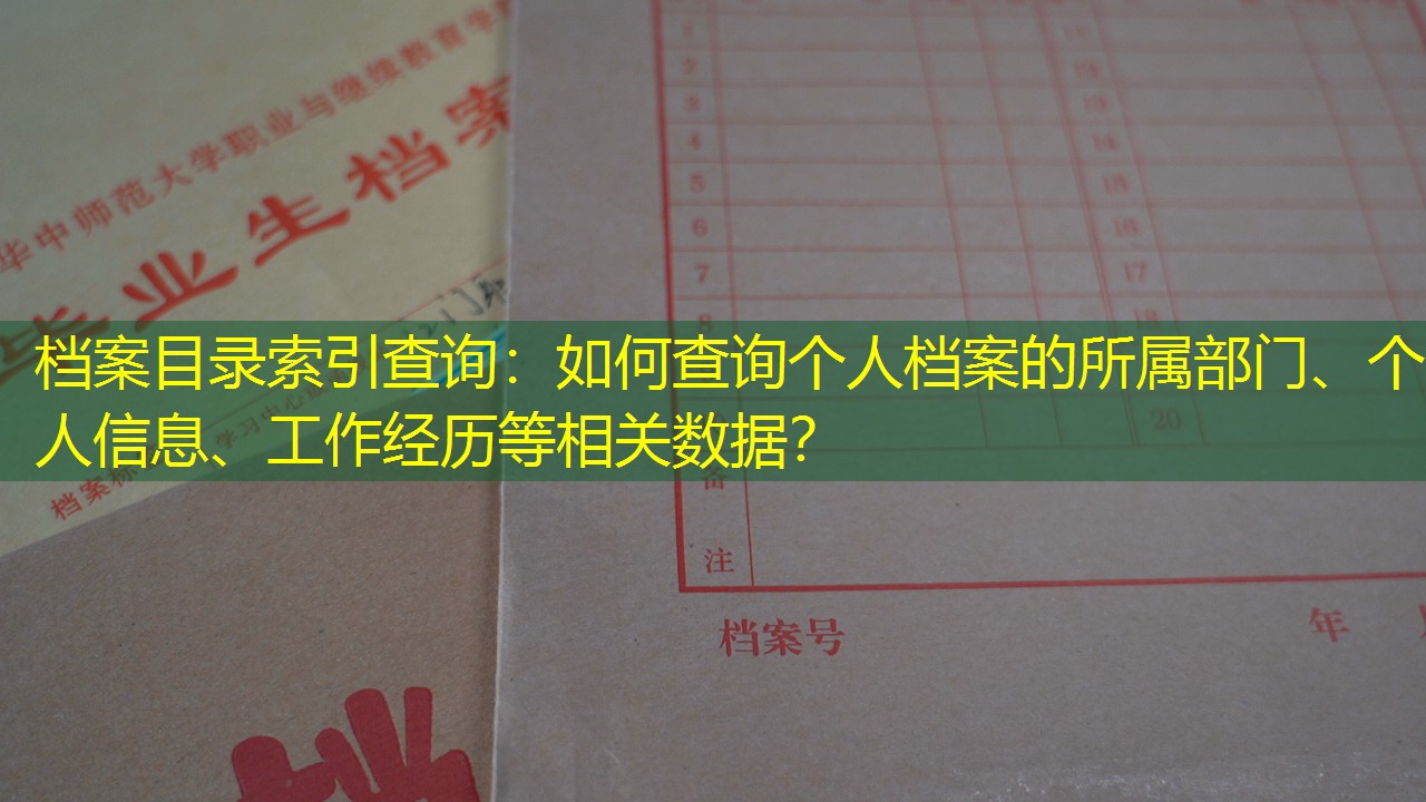 档案查询