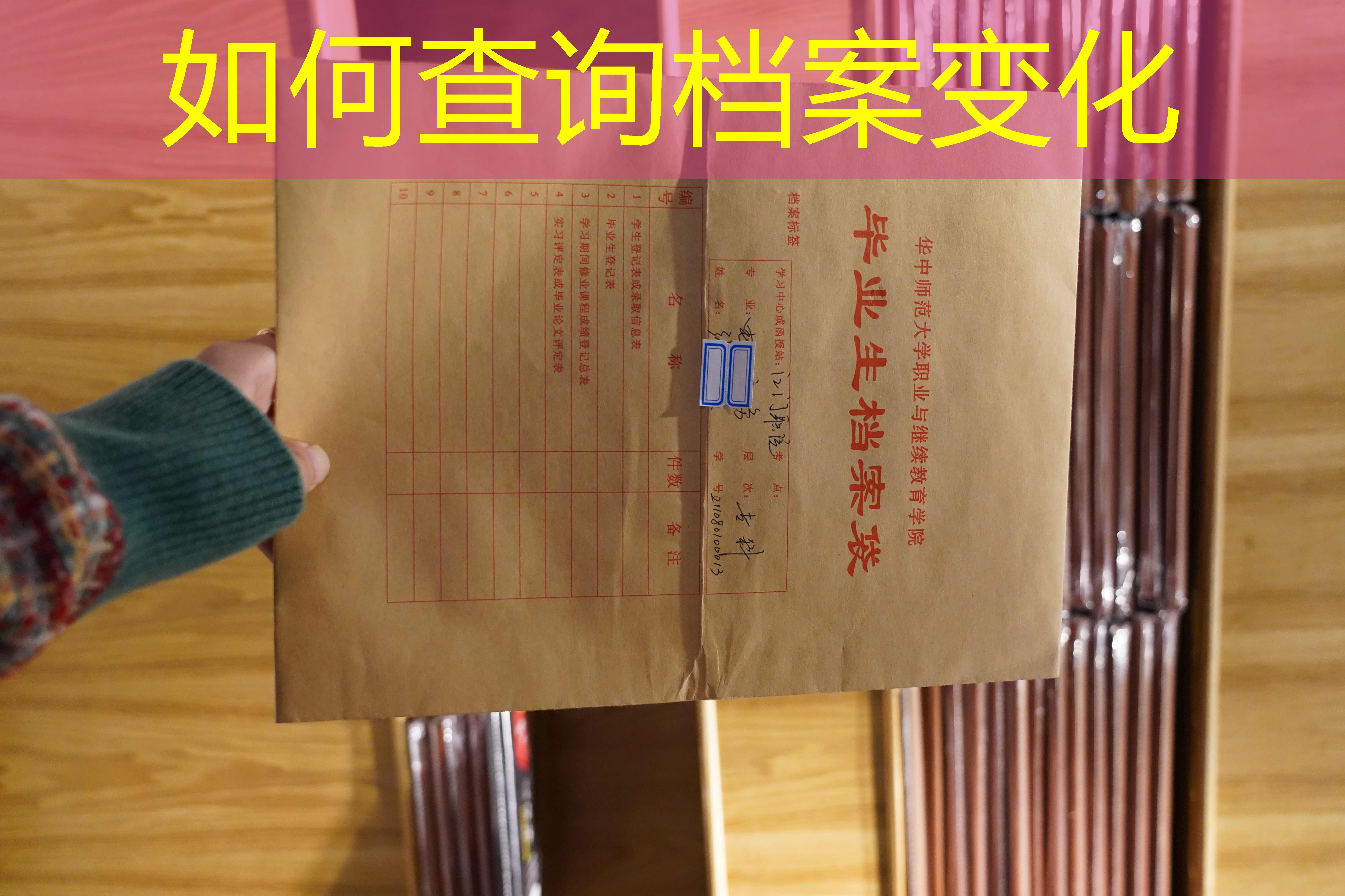 档案查询
