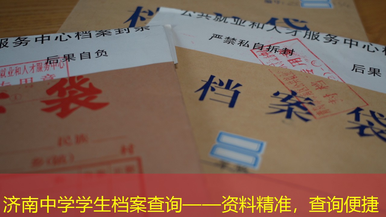 档案查询