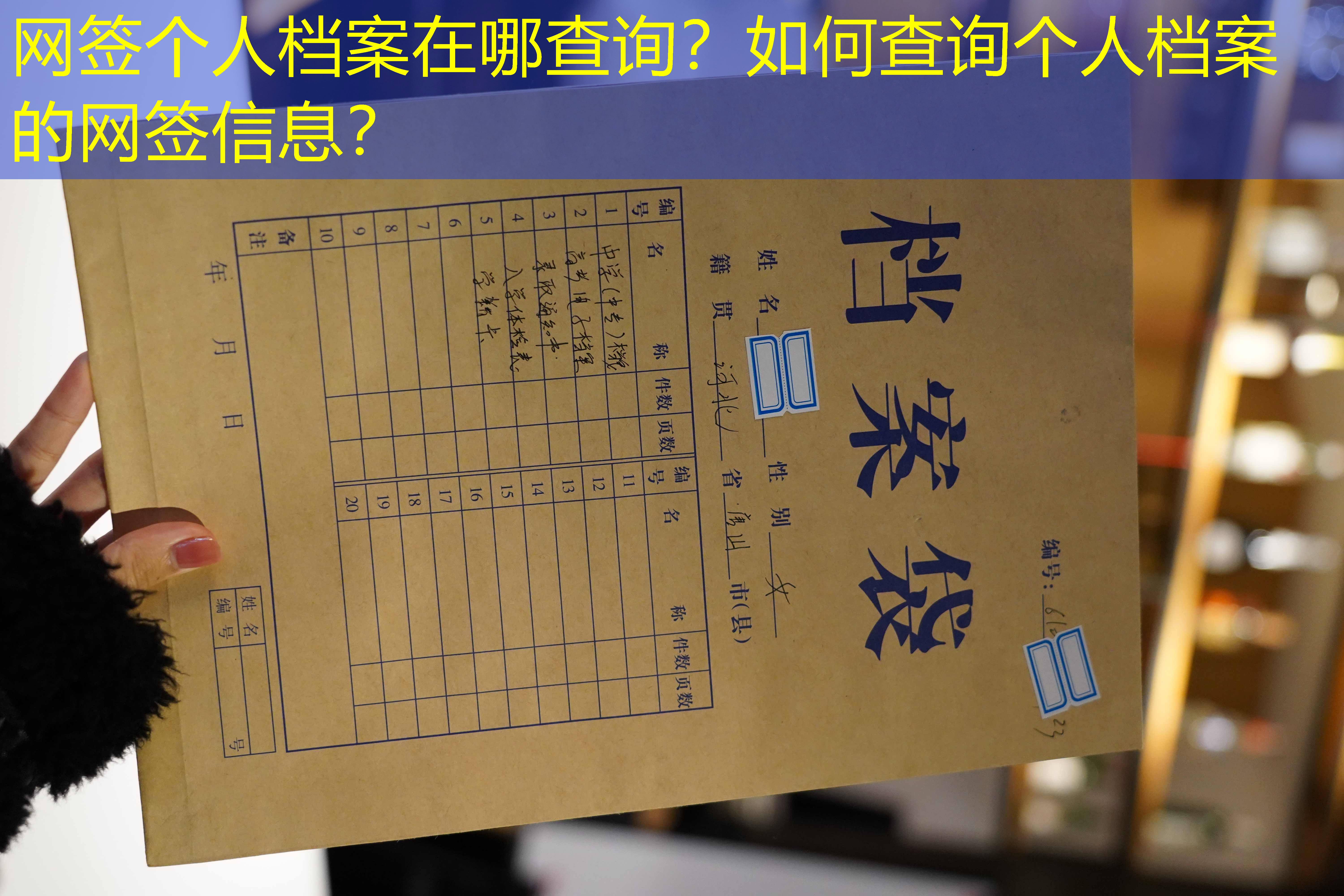 档案查询