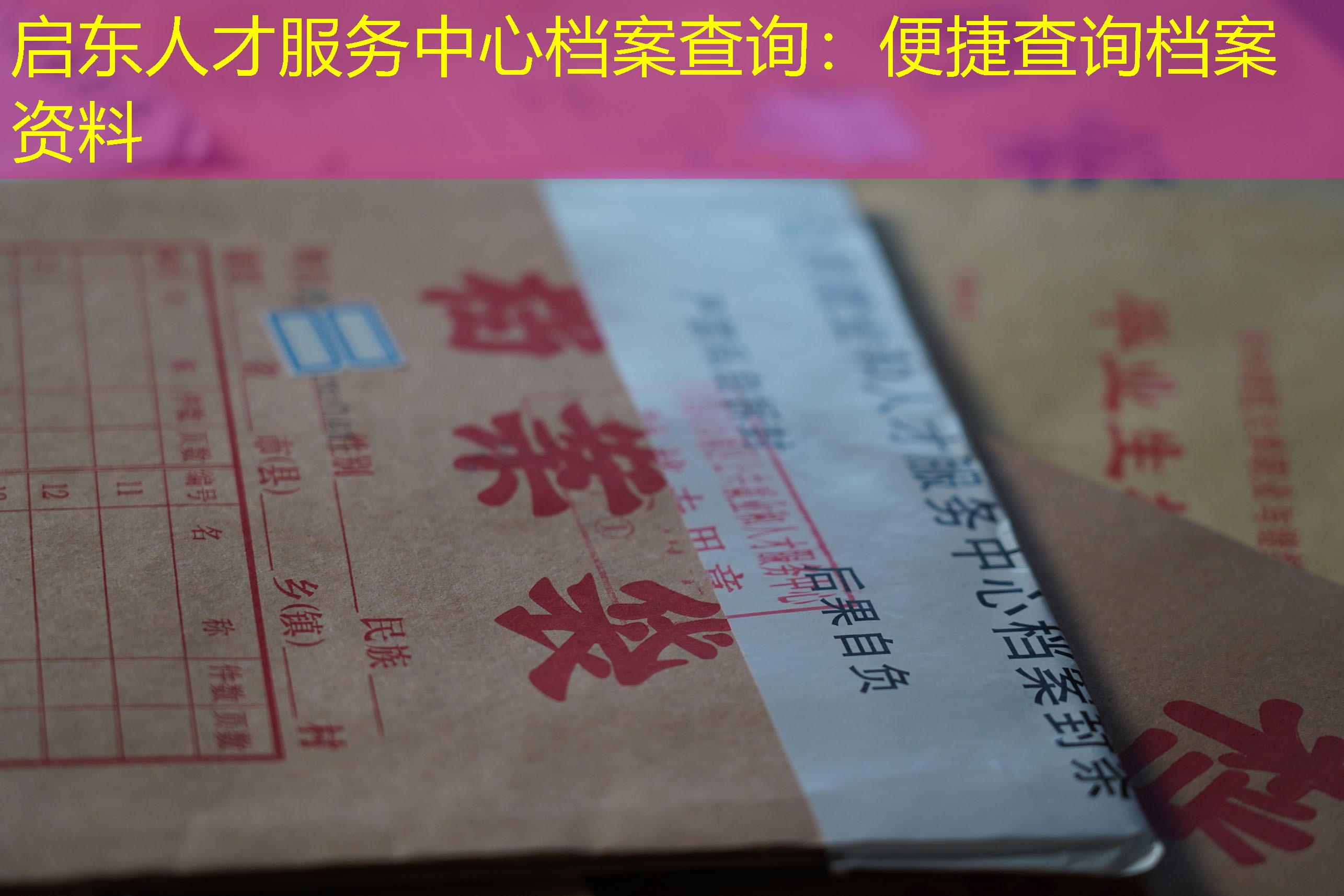 档案查询