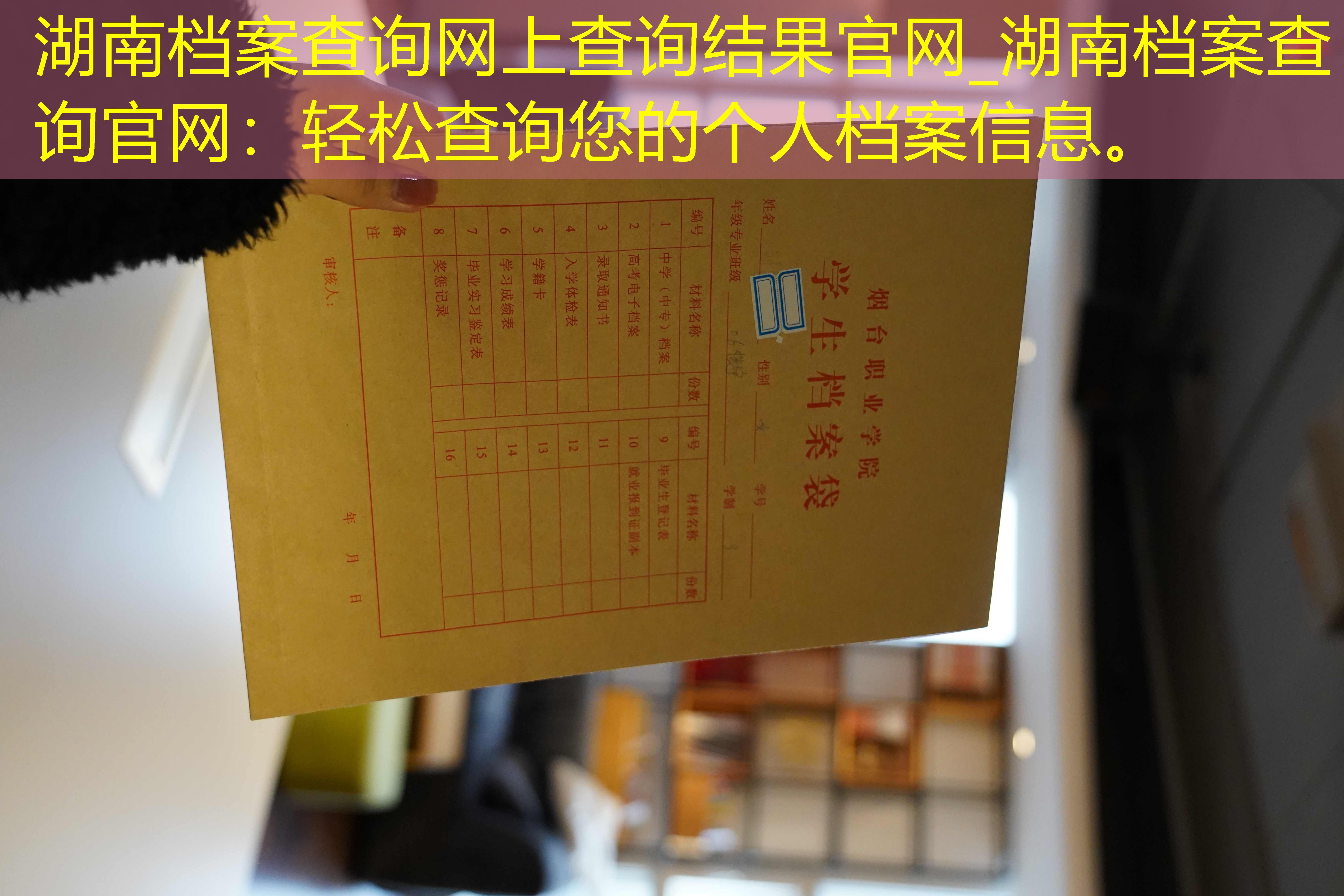 档案查询