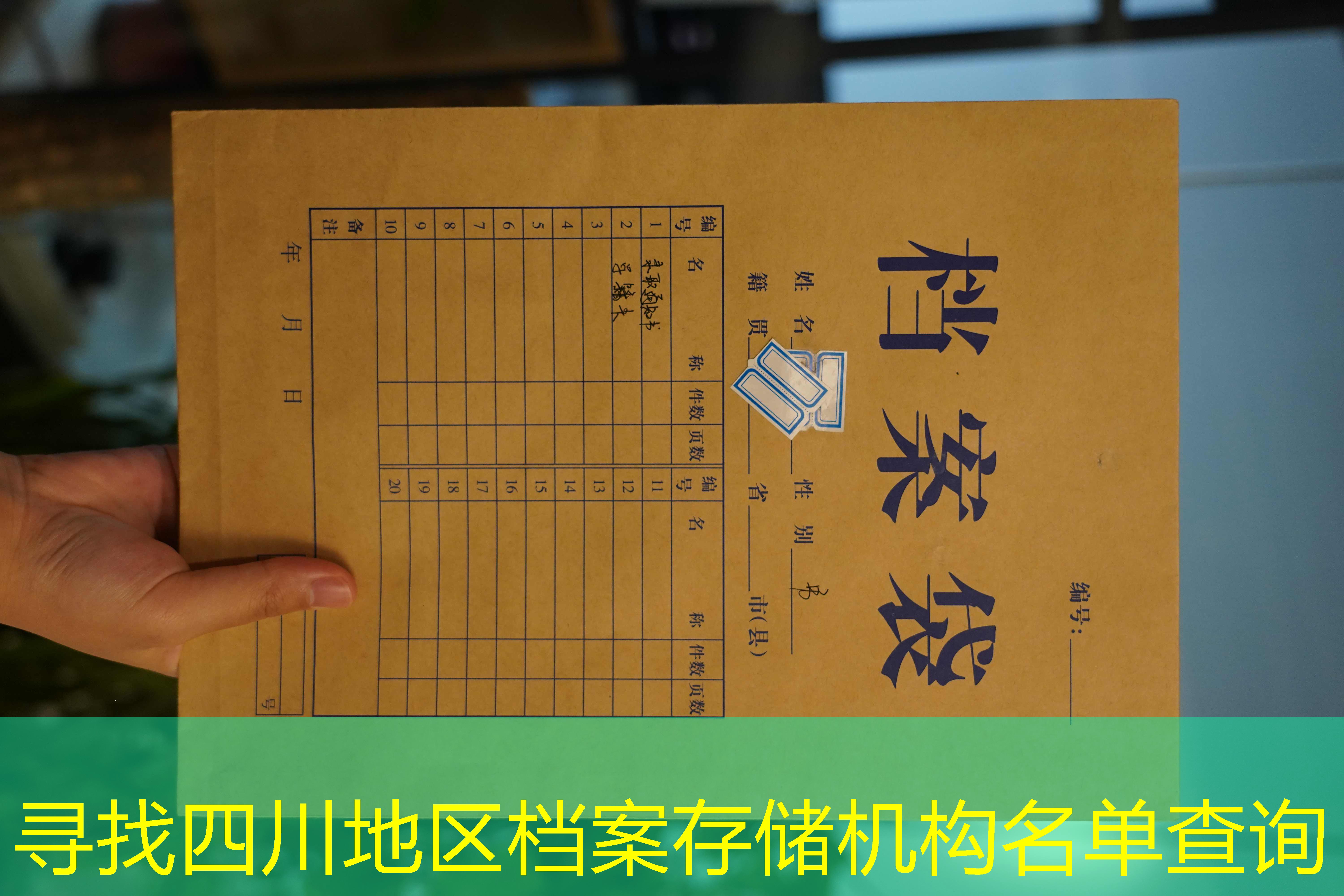 档案查询