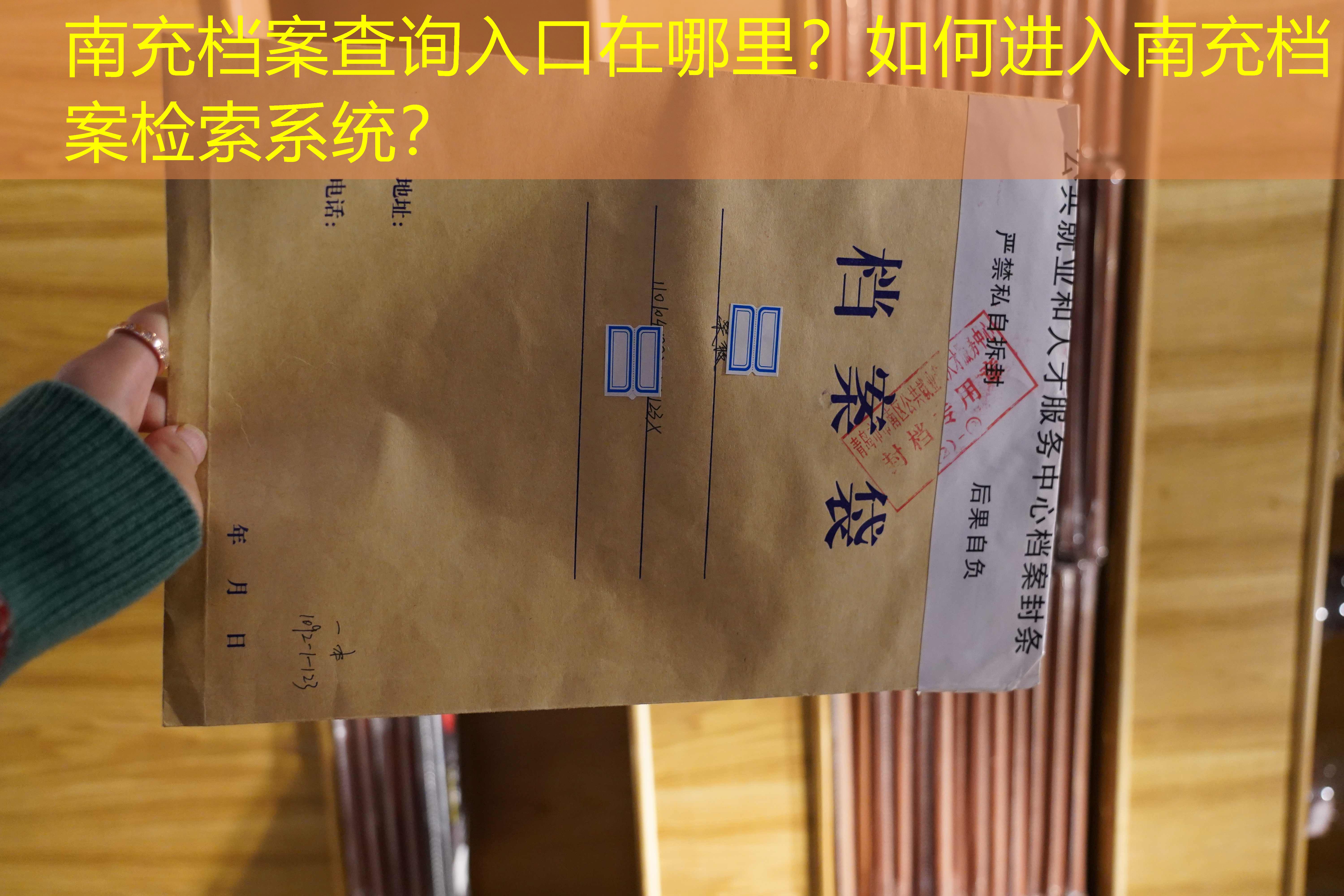 档案查询