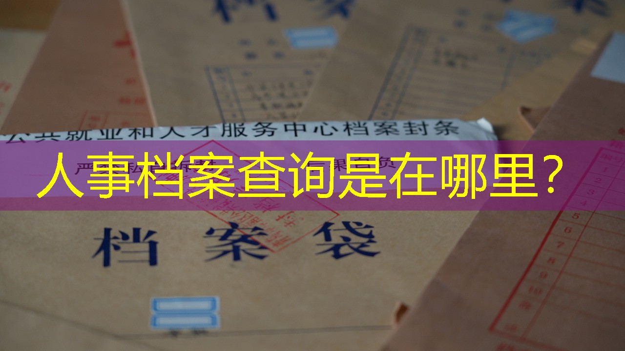 档案查询