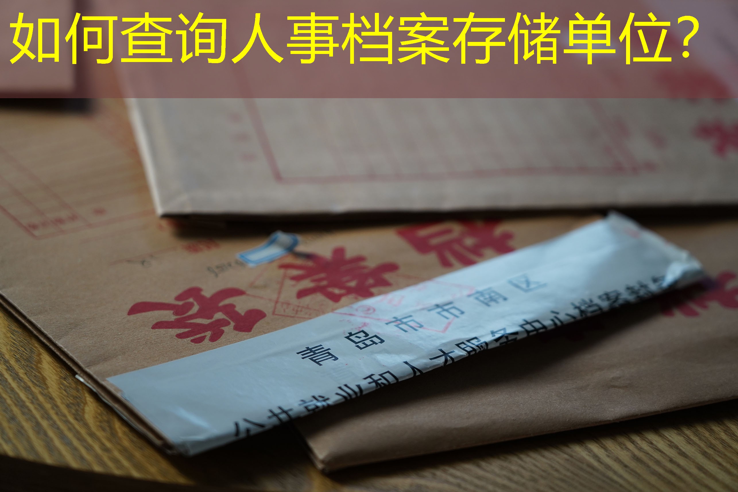 档案查询