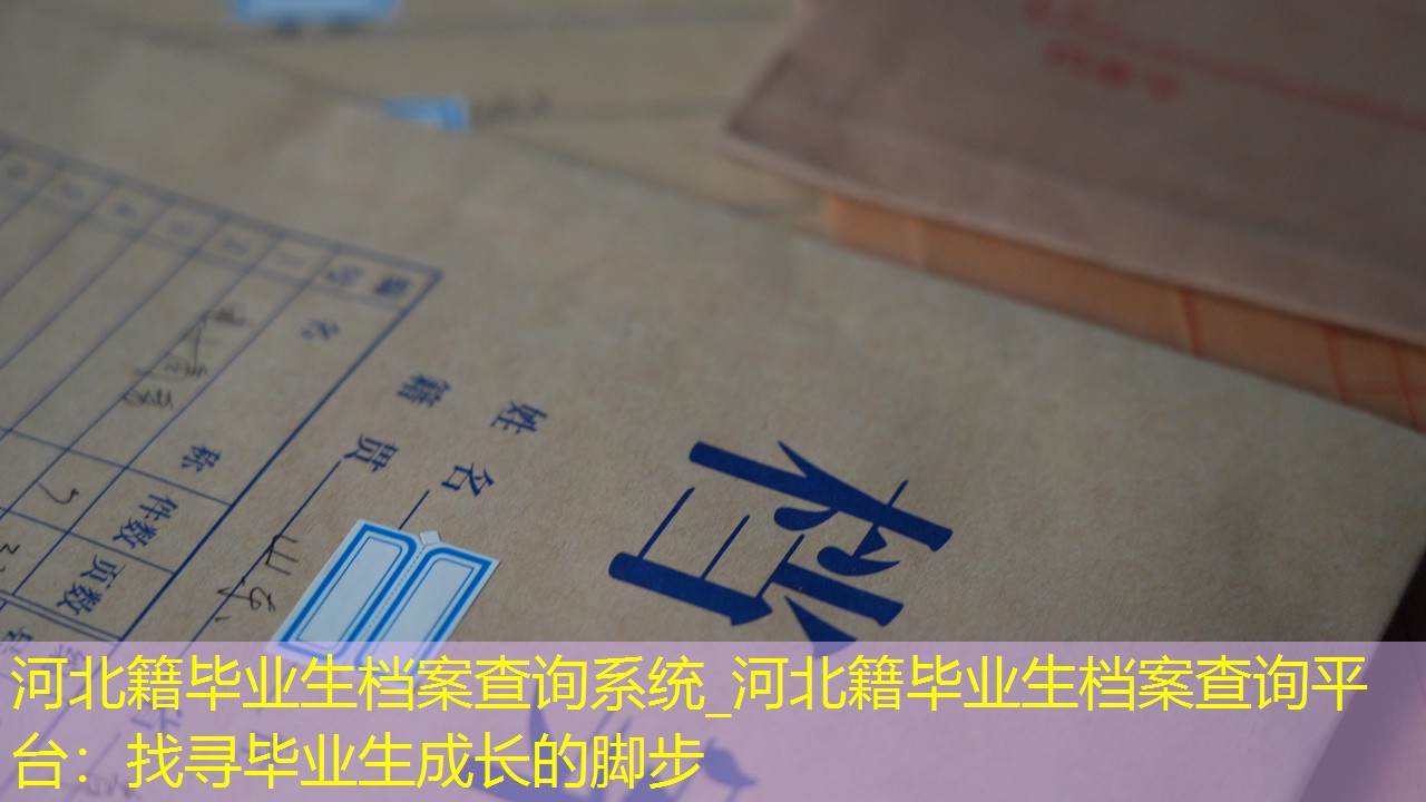 档案查询