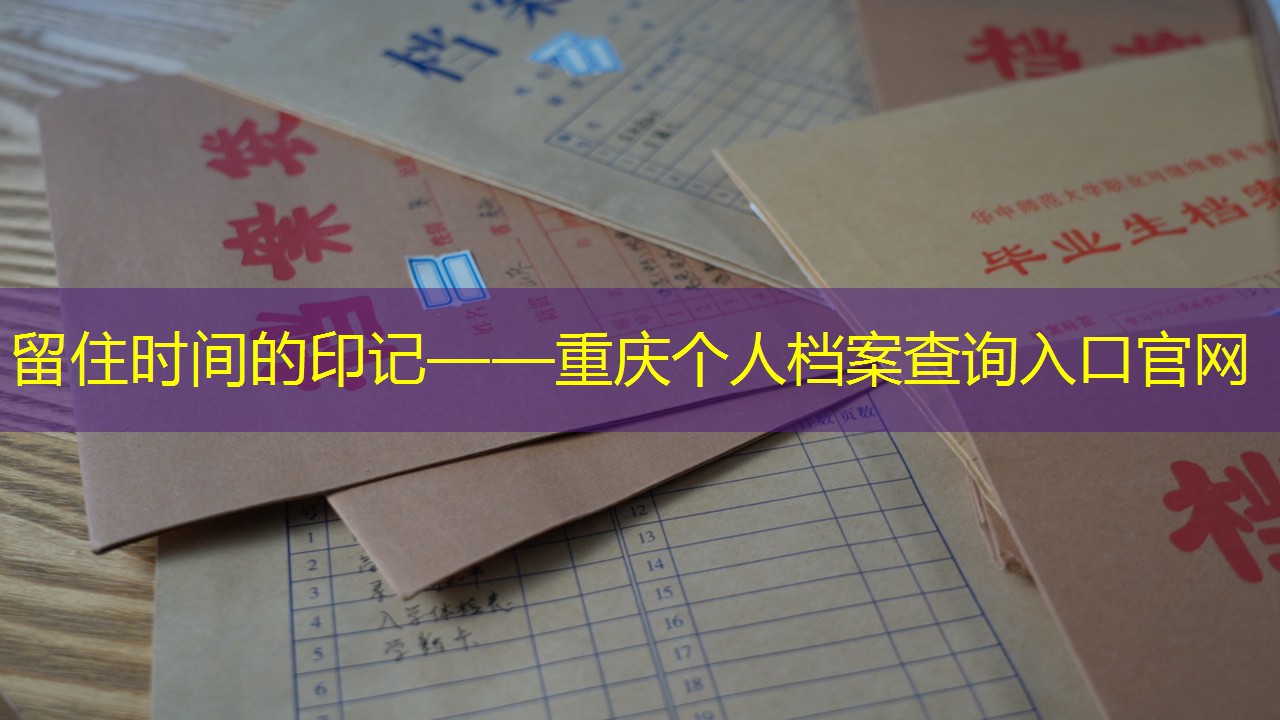 档案查询