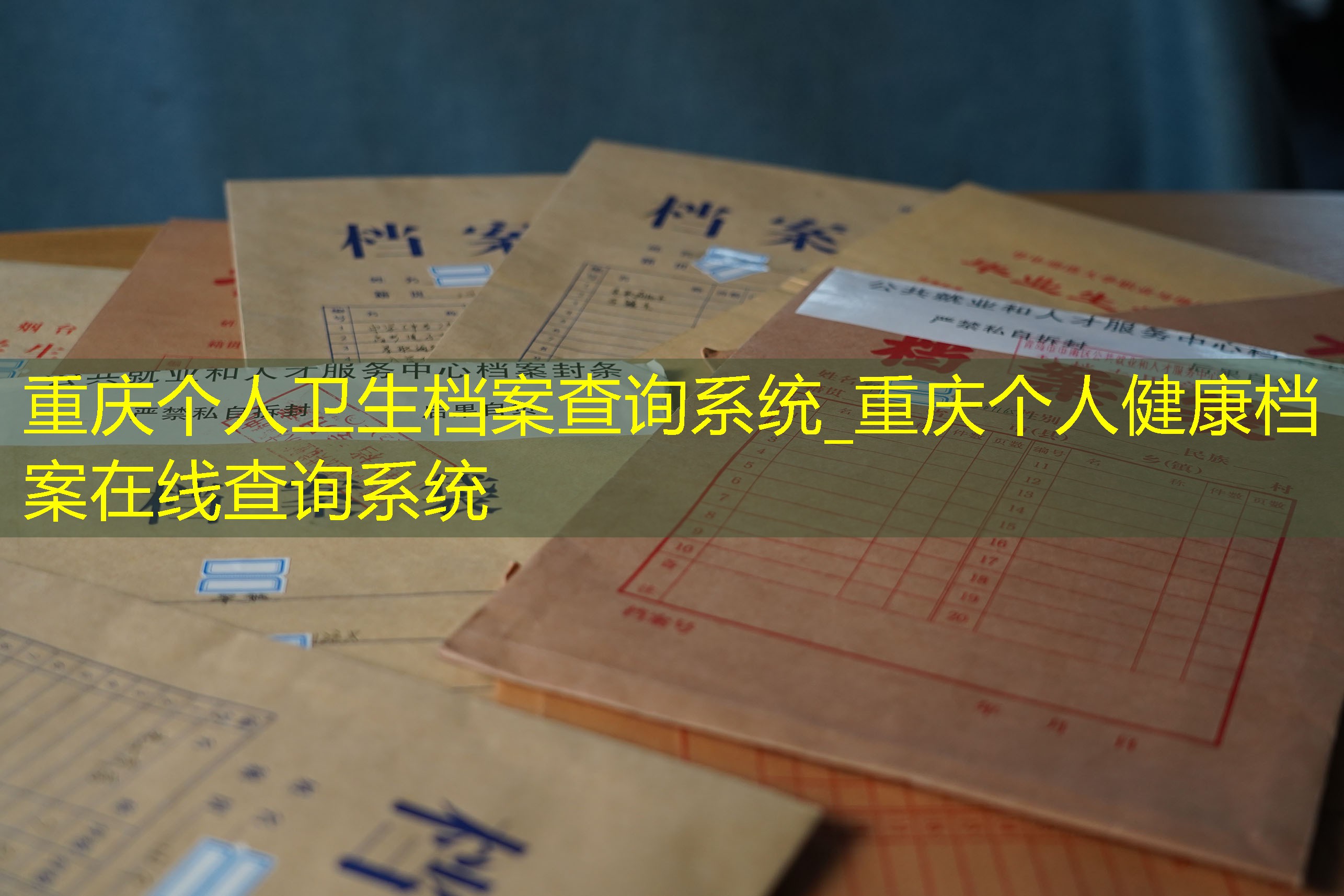 档案查询