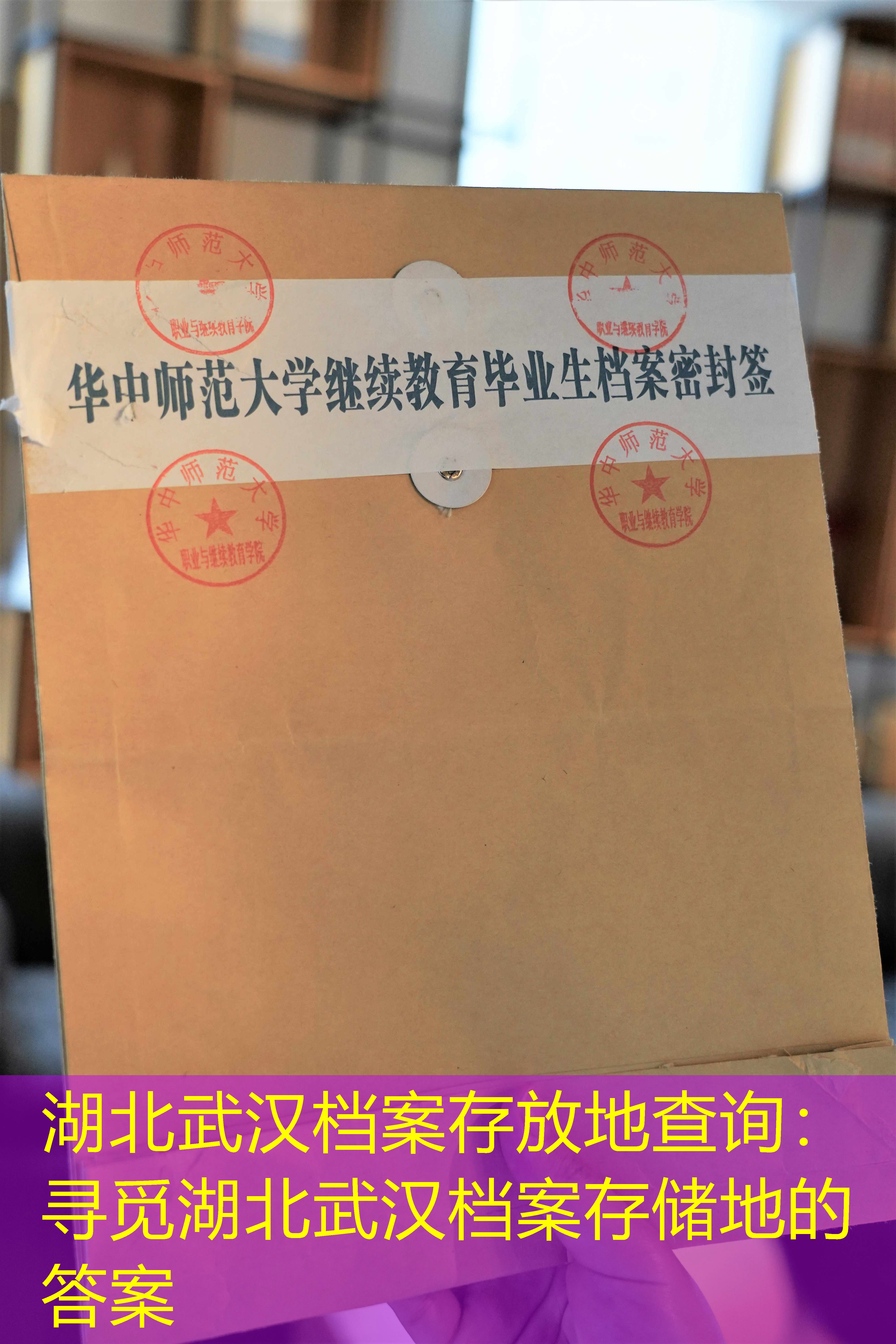 档案查询