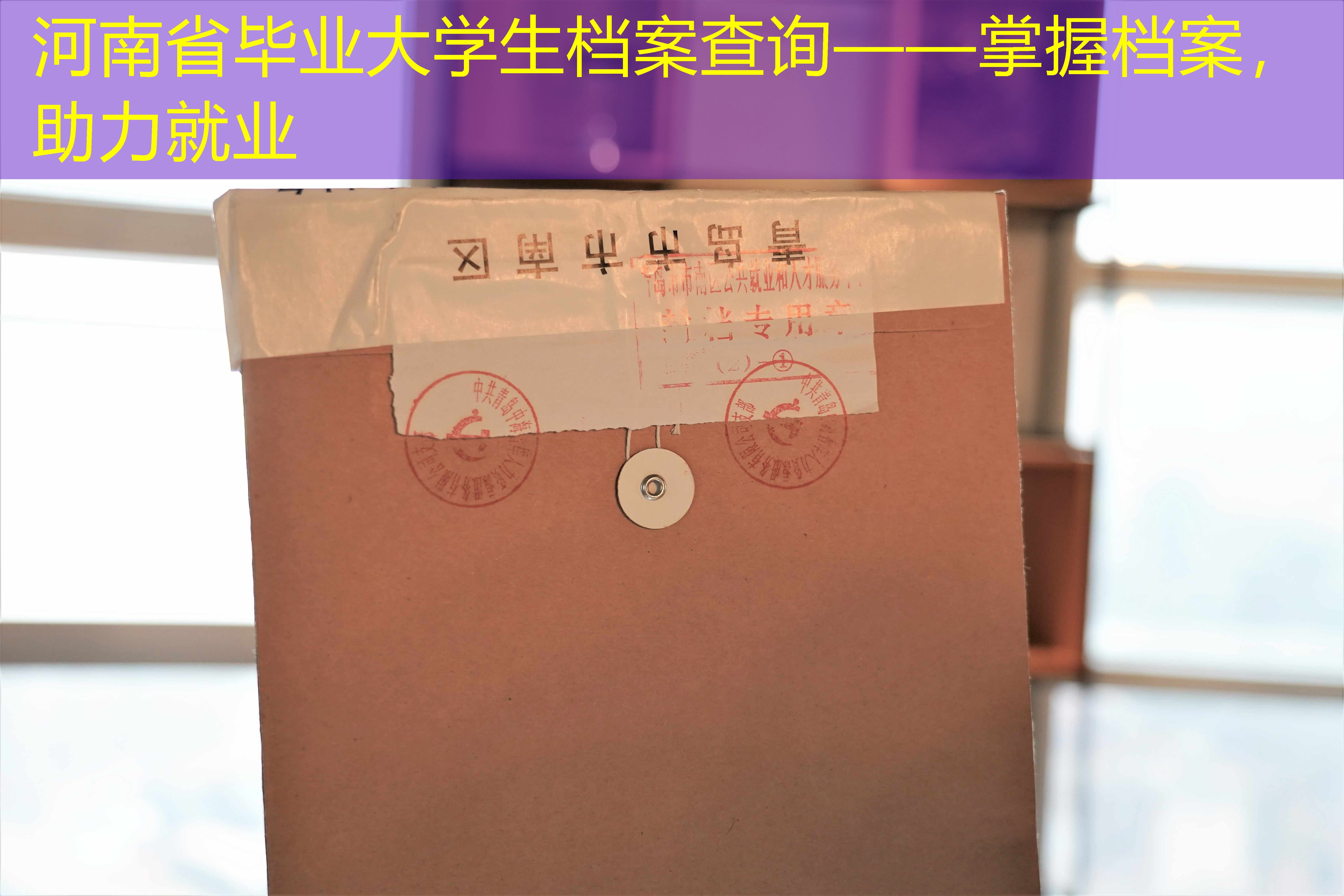 档案查询