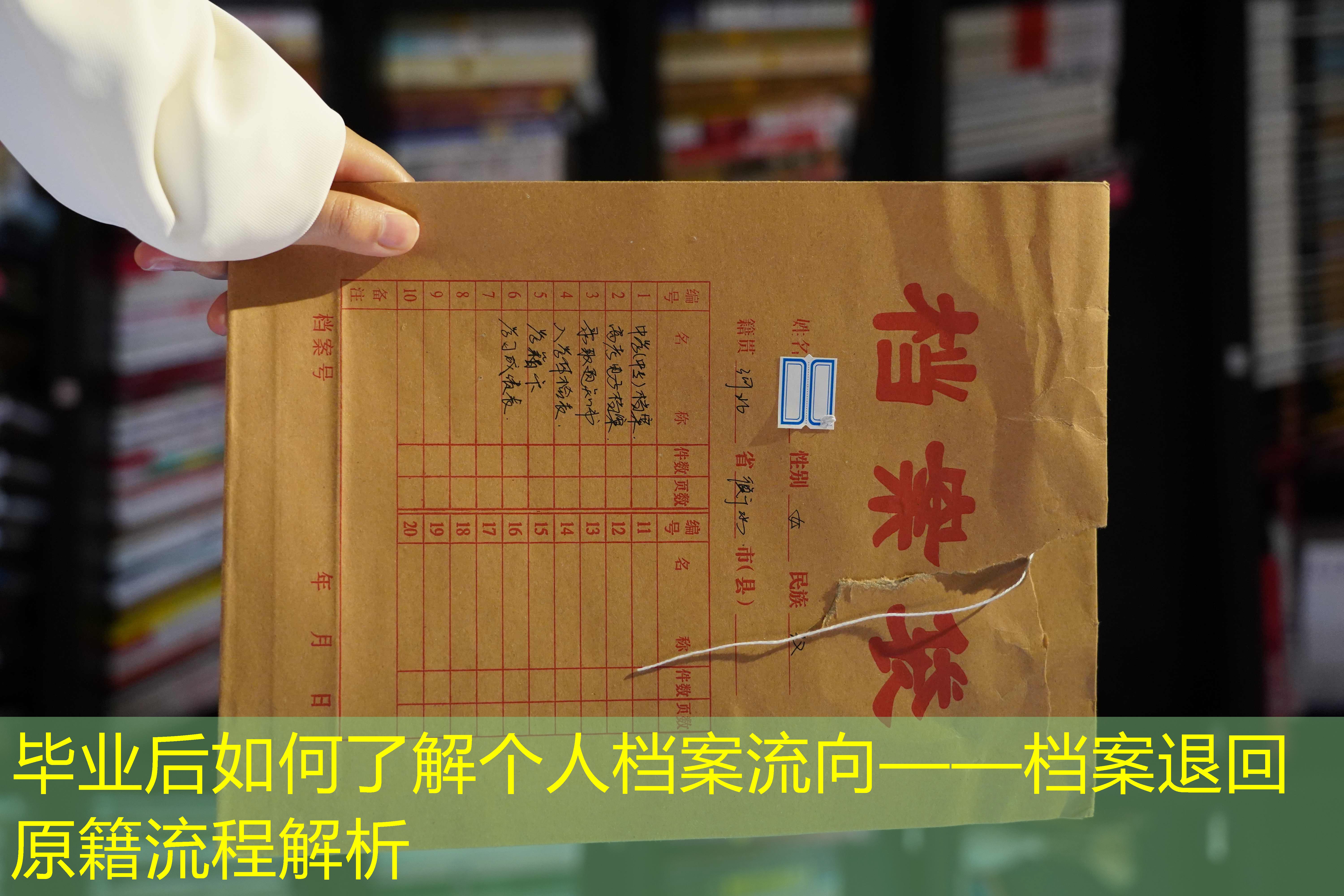 档案查询