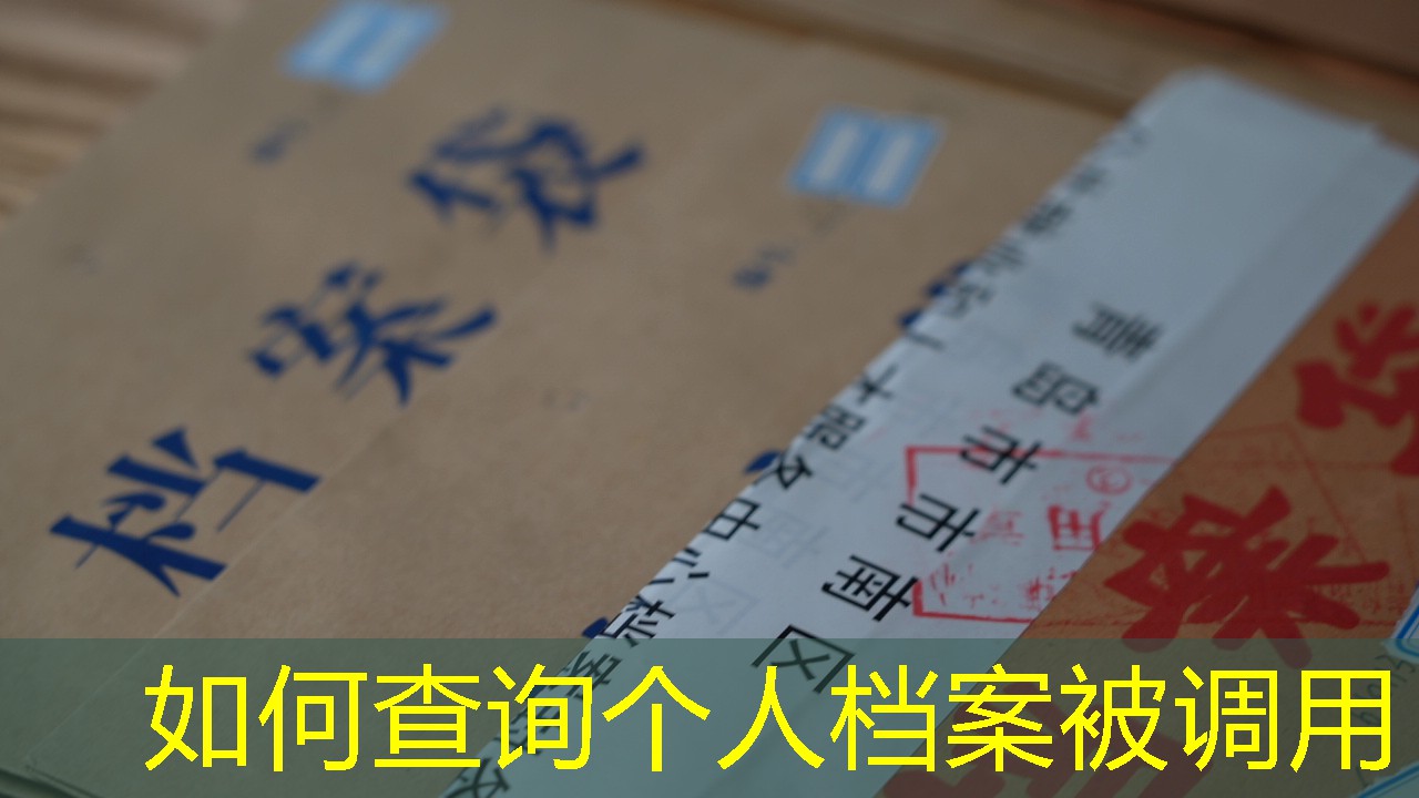 档案查询