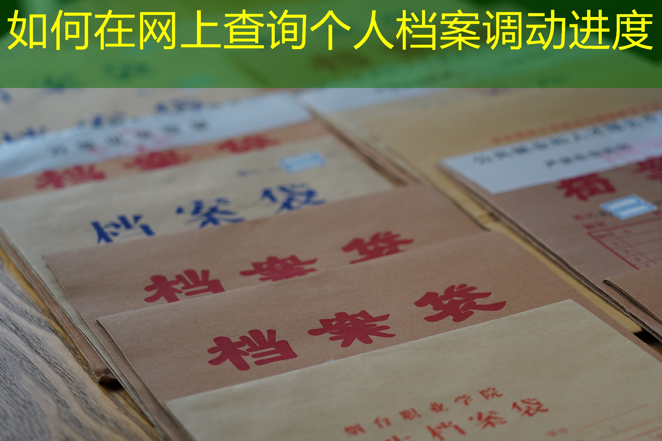 档案查询