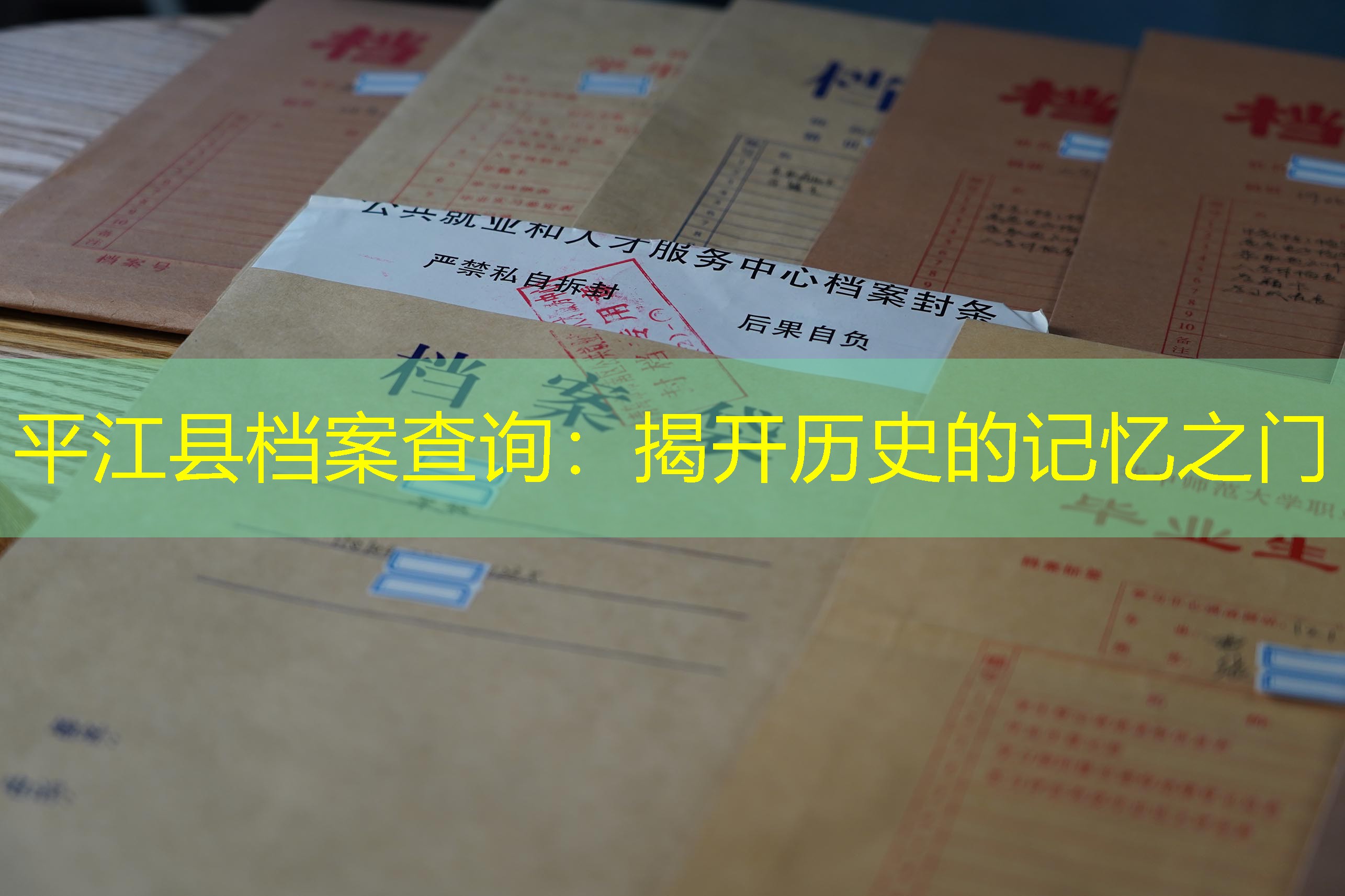 档案查询