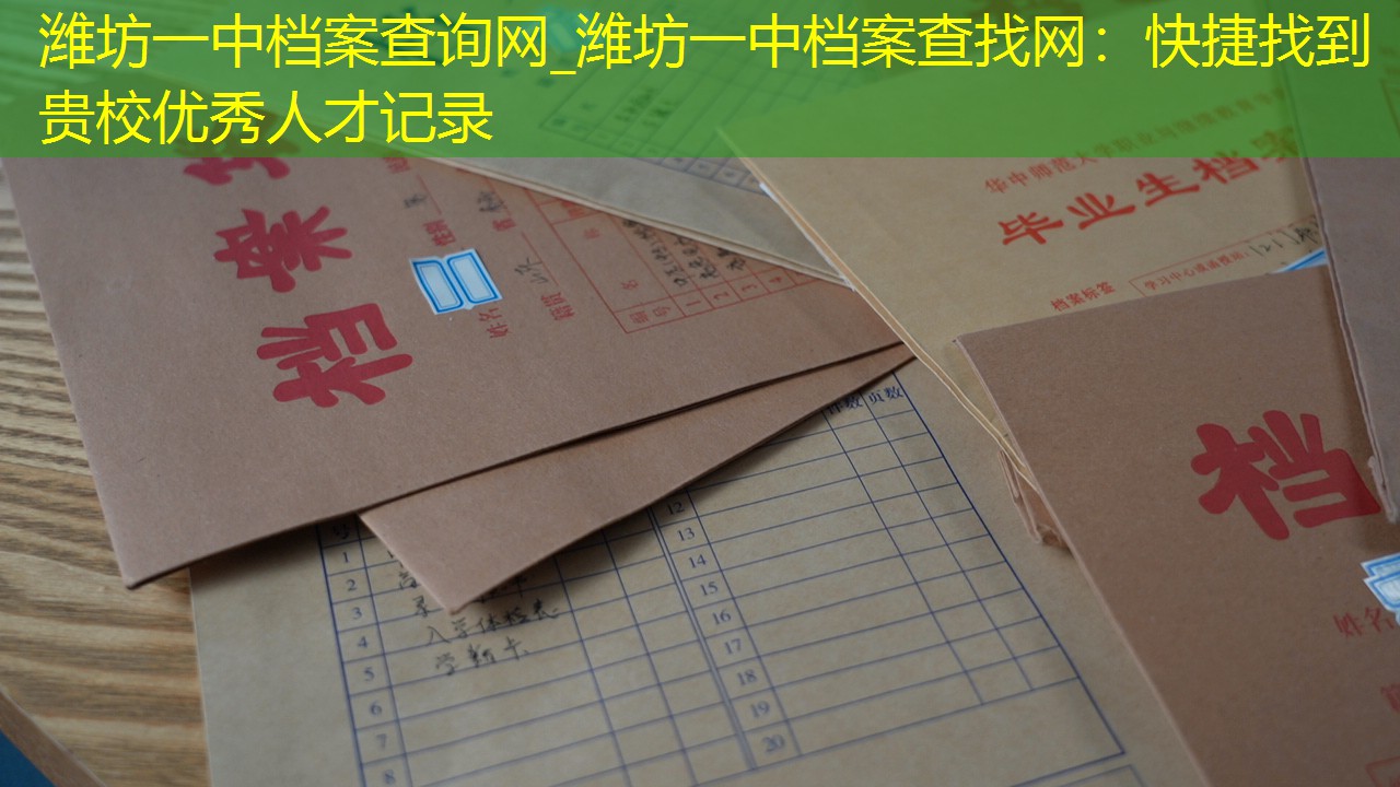 档案查询