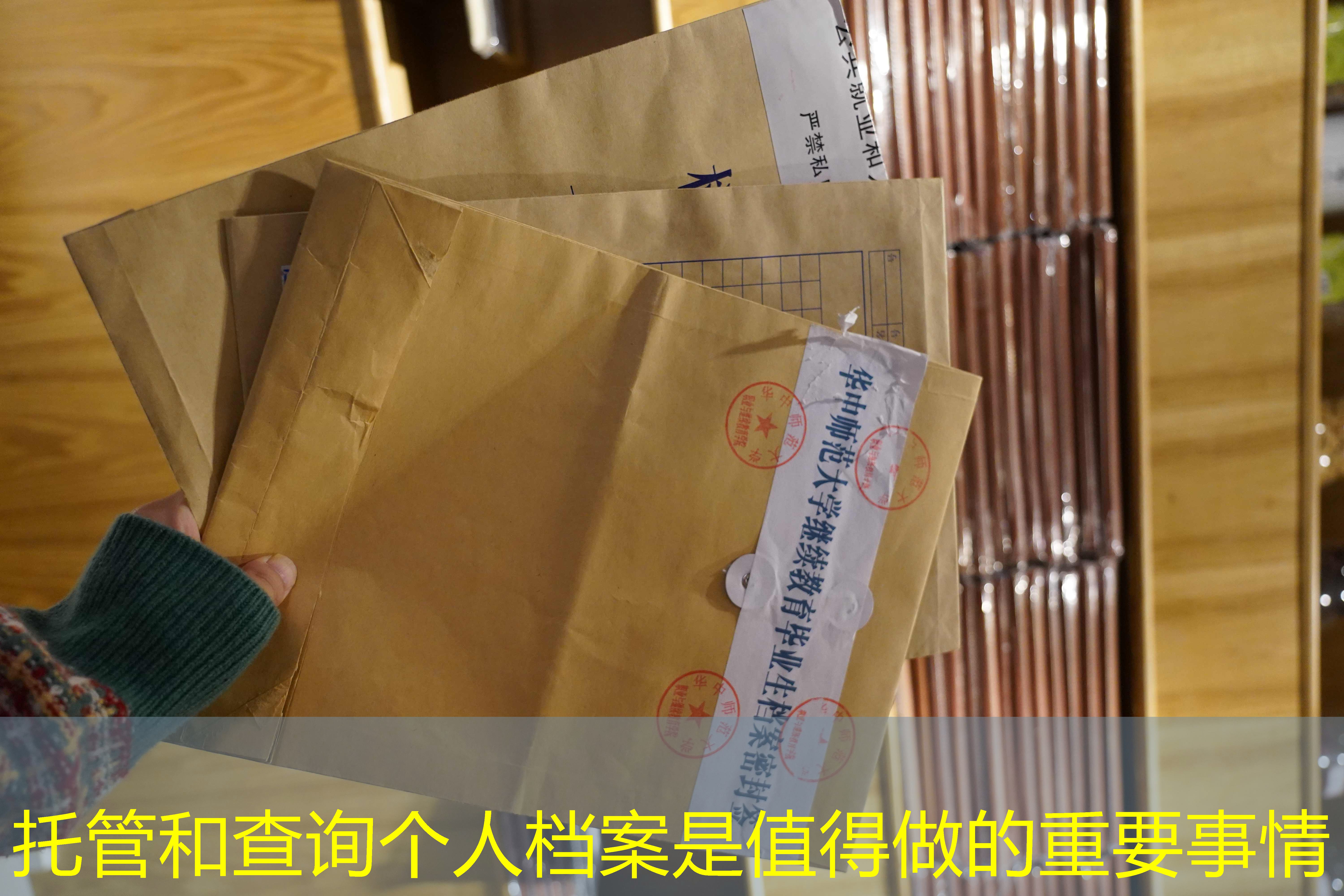 档案查询