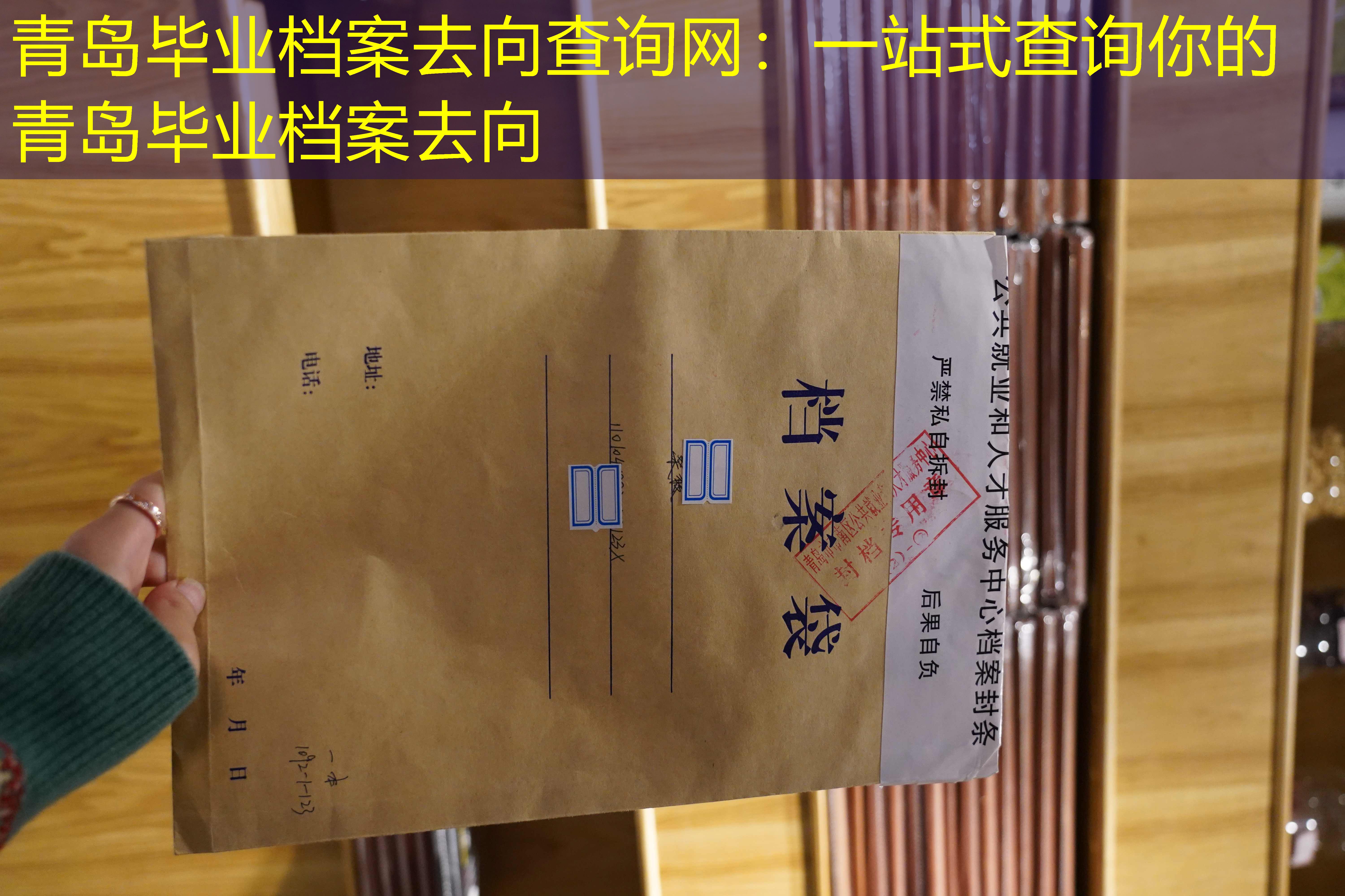 档案查询