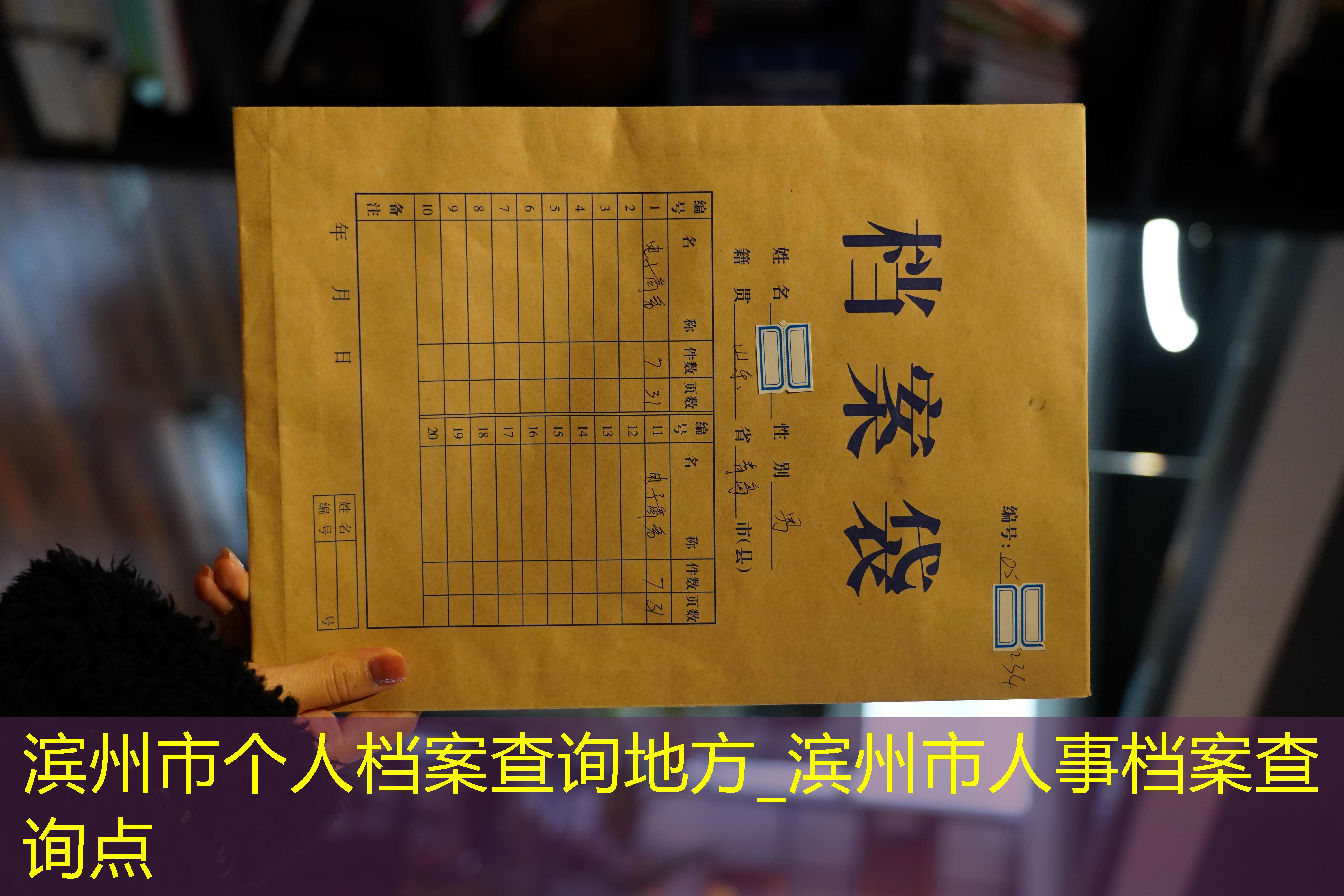 档案查询