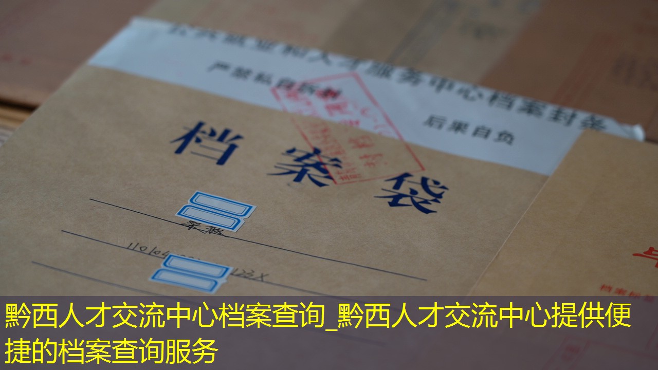 档案查询