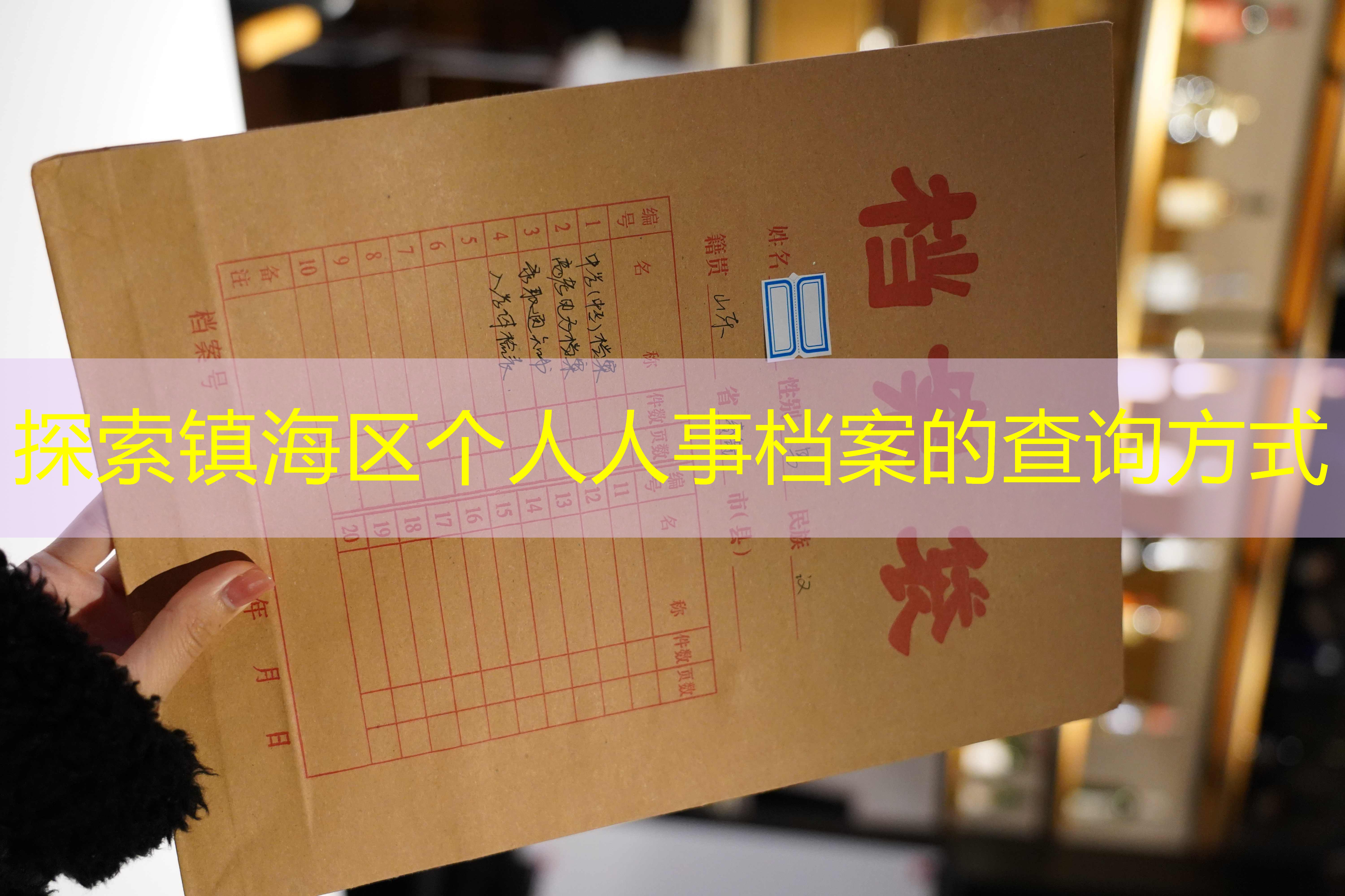 档案查询