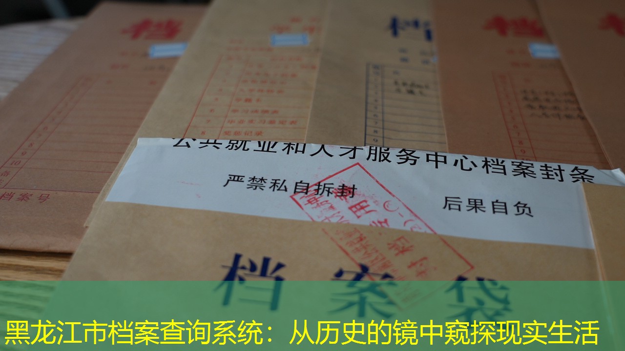 档案查询