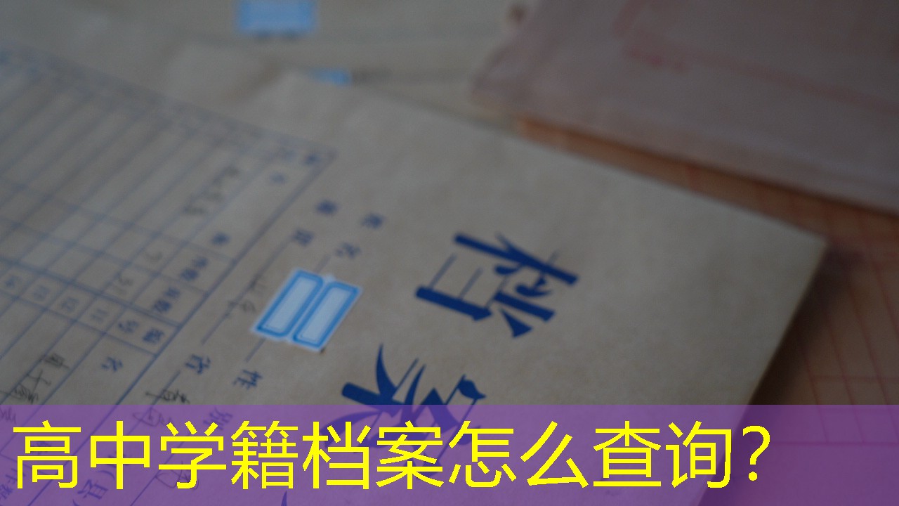 档案查询