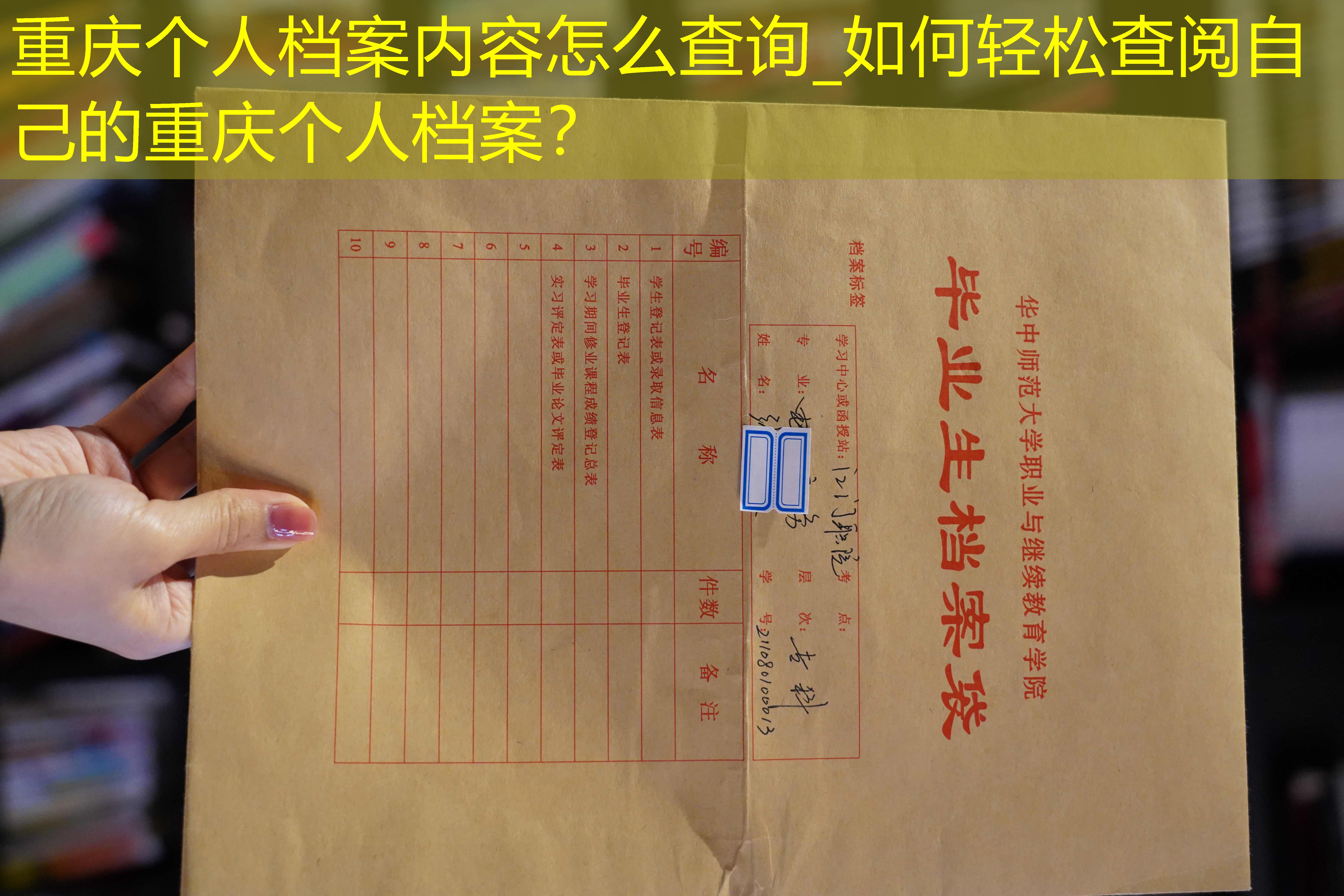 档案查询