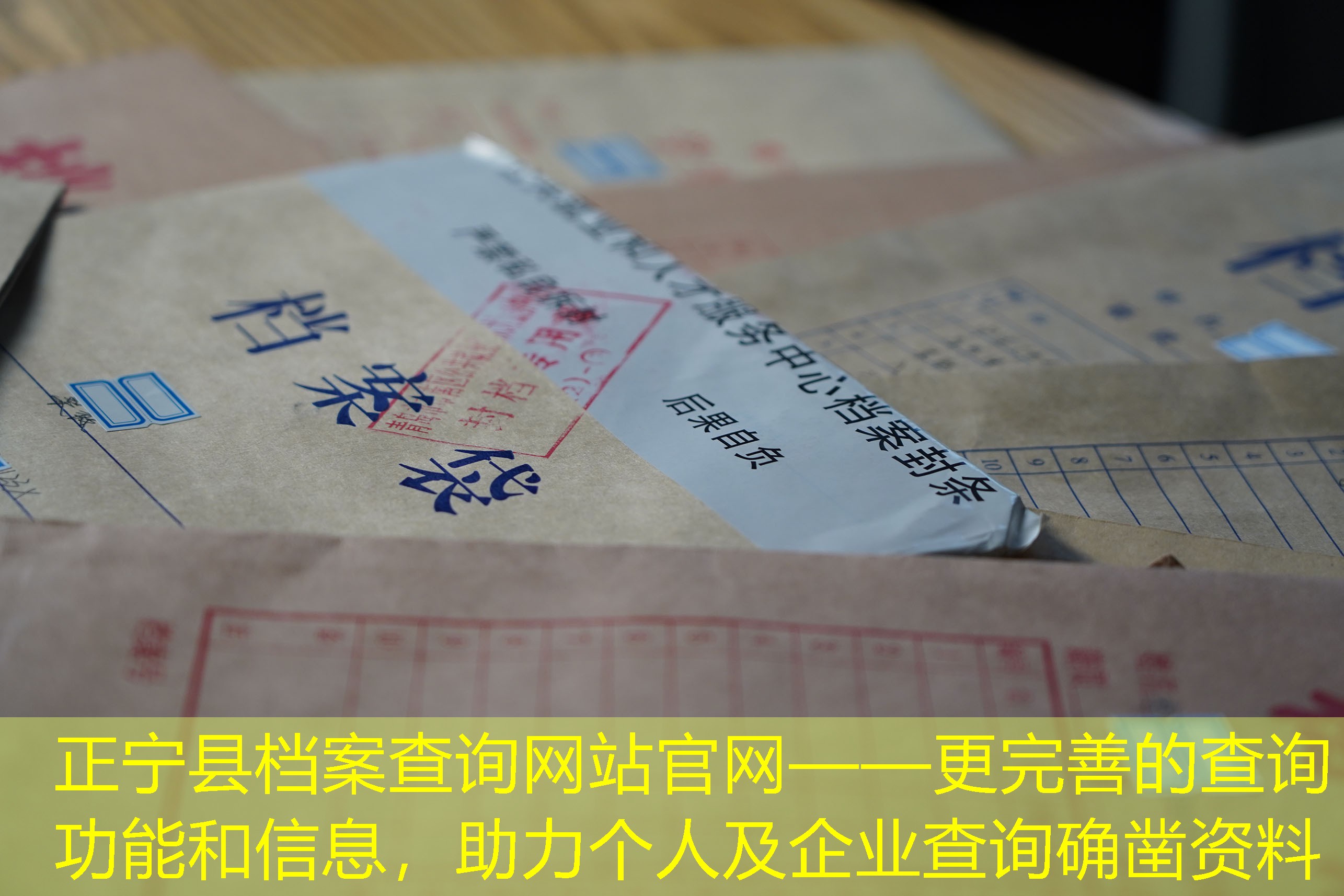 档案查询