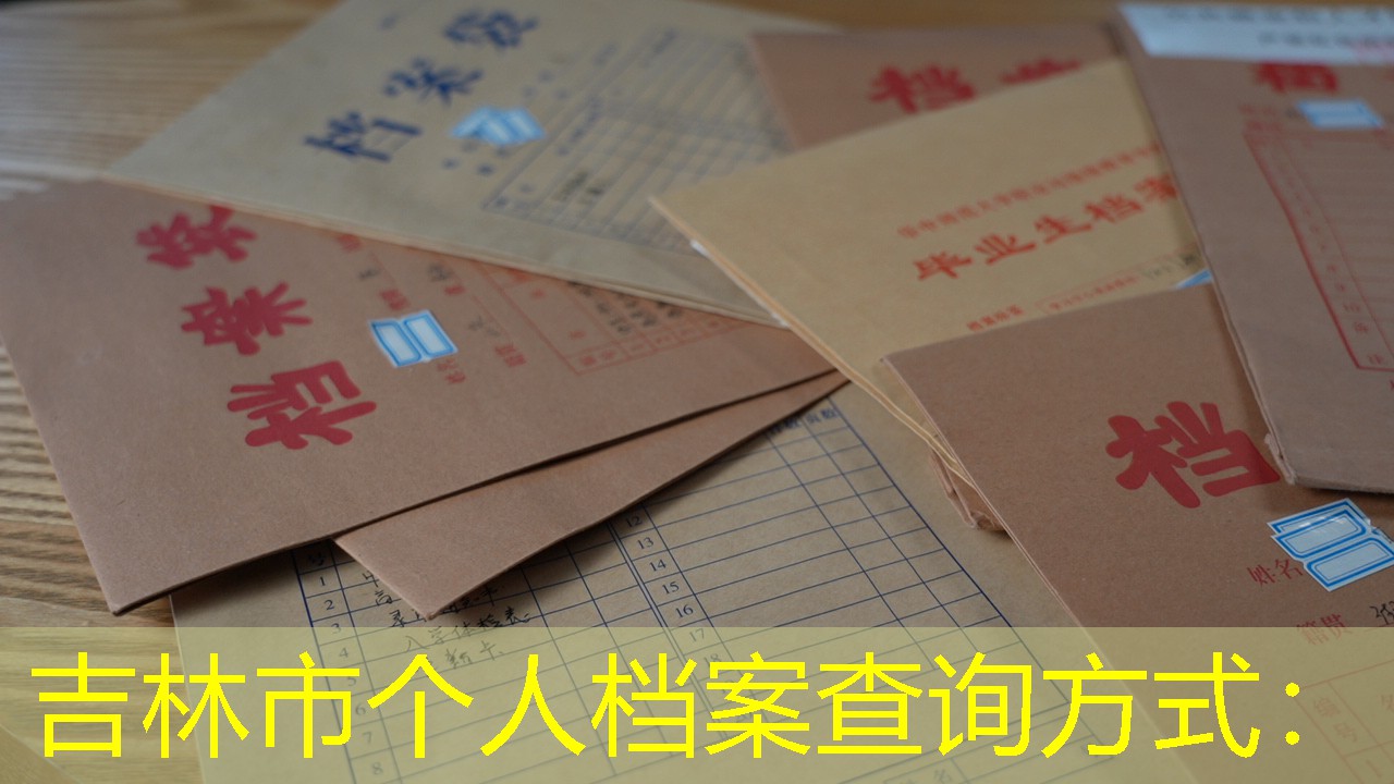 档案查询