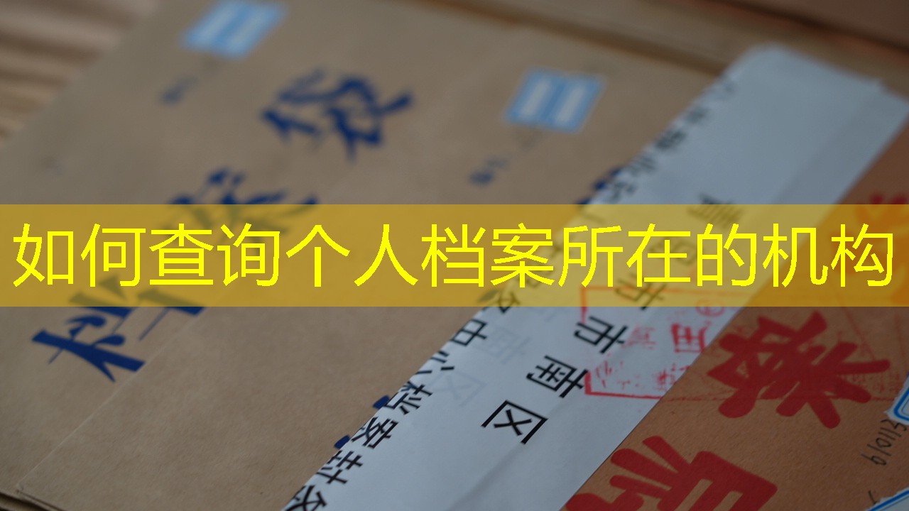 档案查询