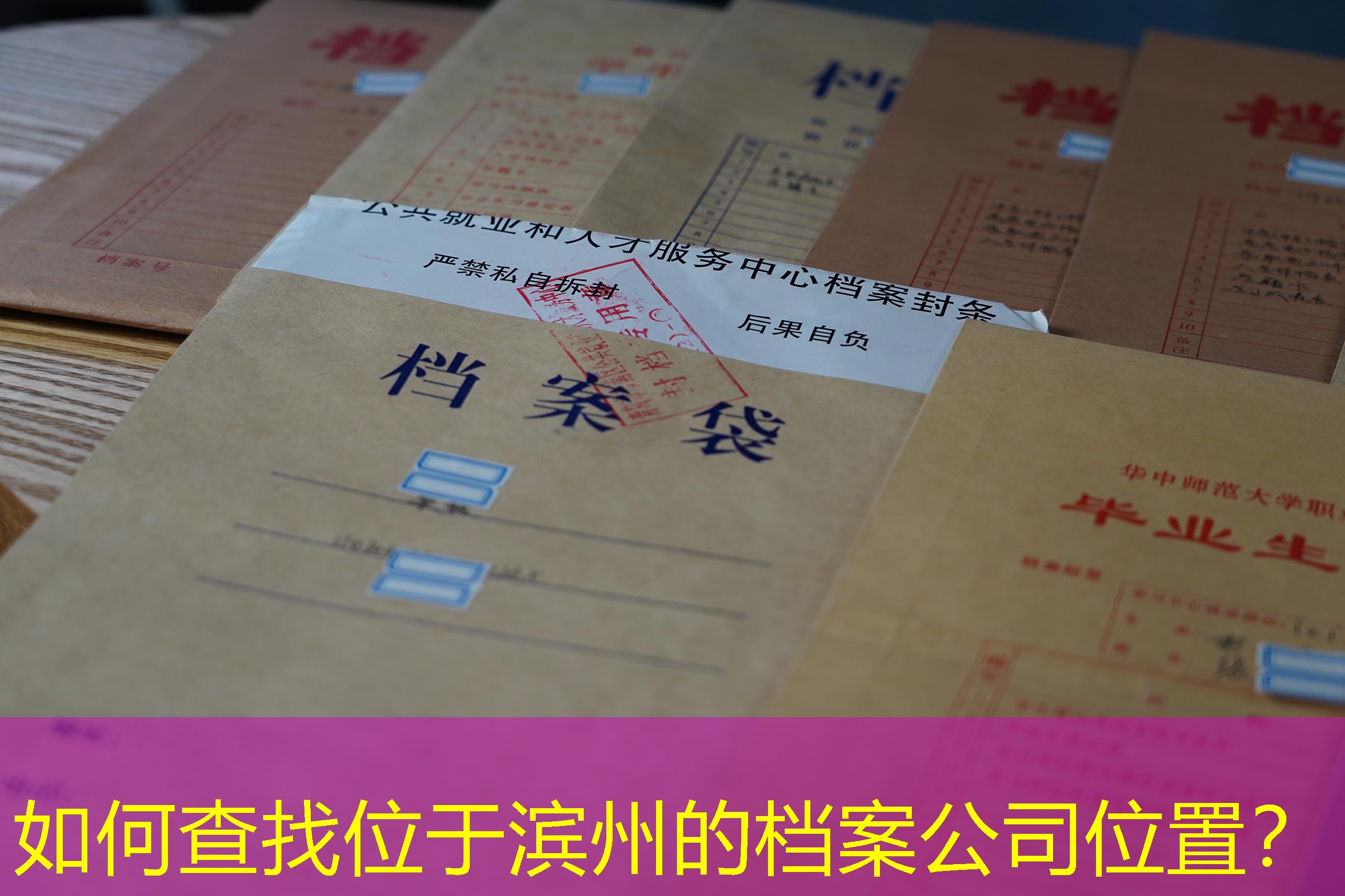 档案查询