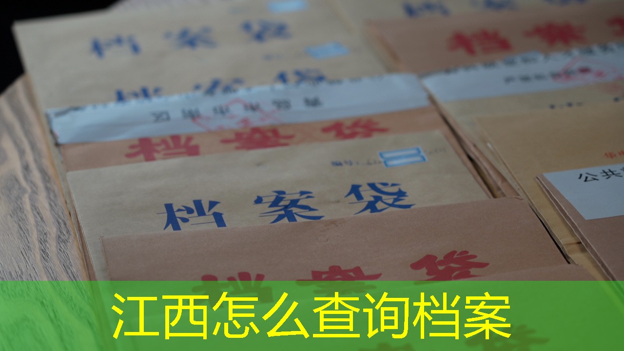 档案查询