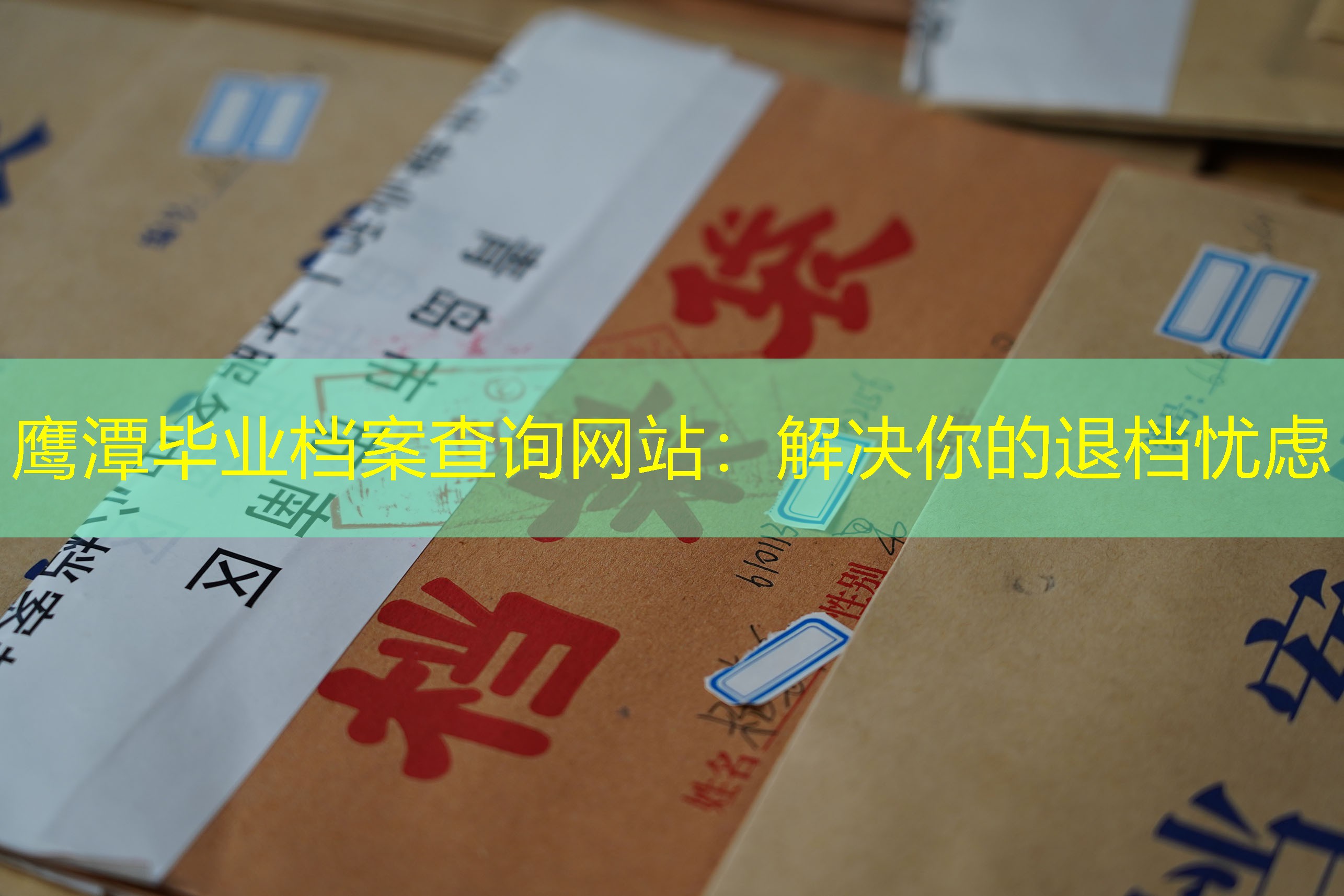 档案查询