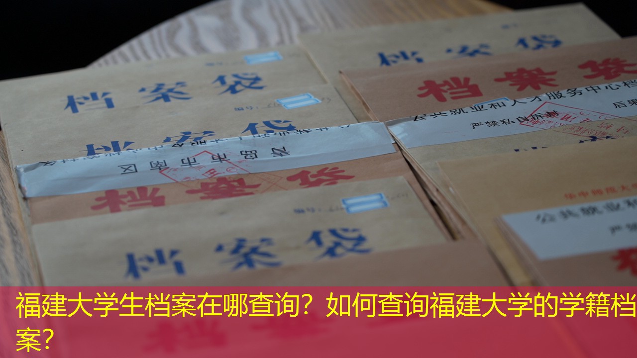 档案查询