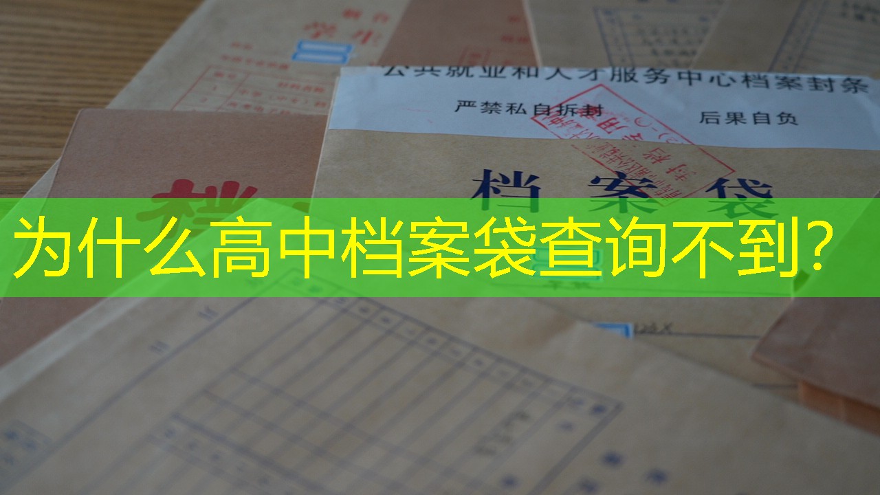 档案查询
