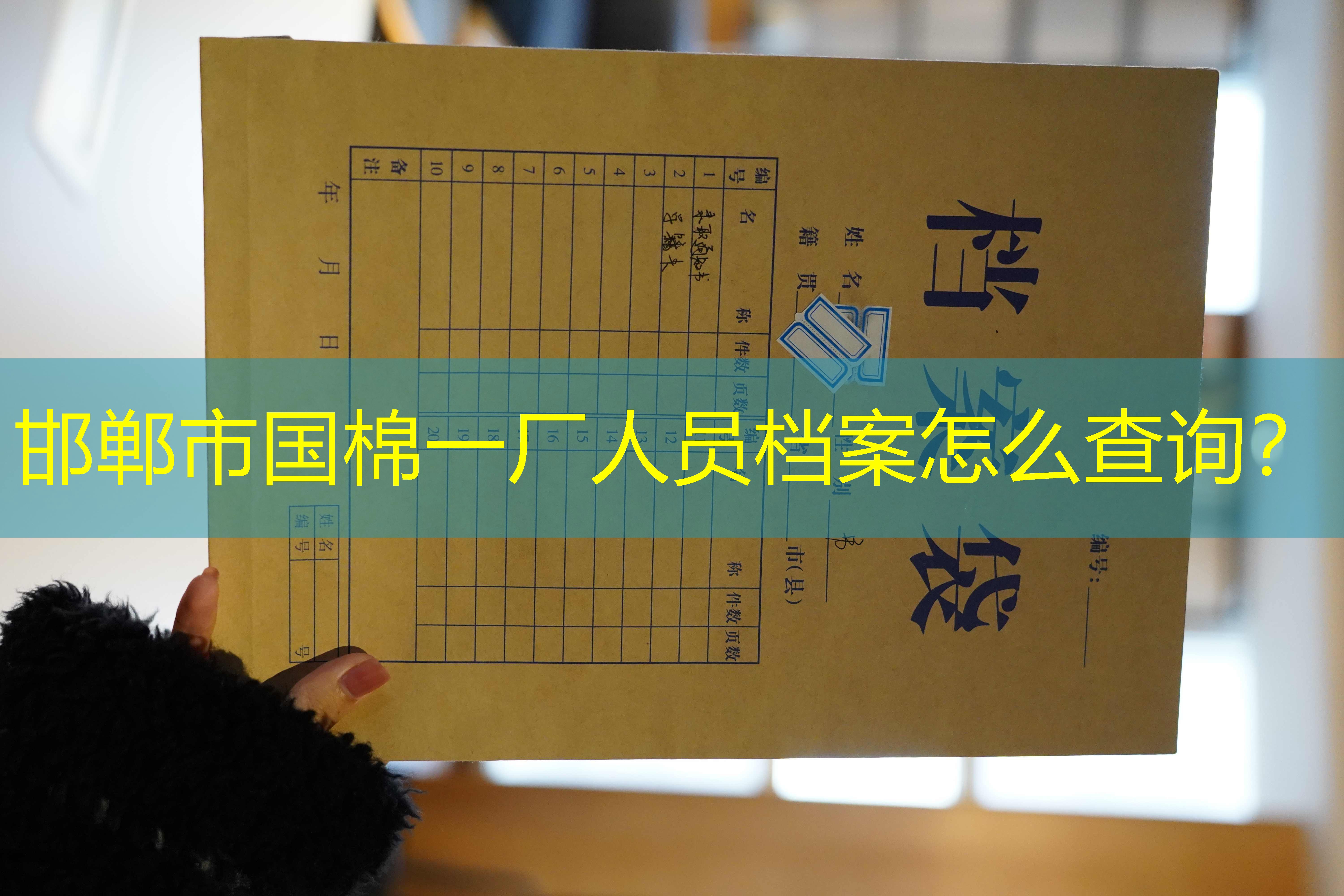 档案查询