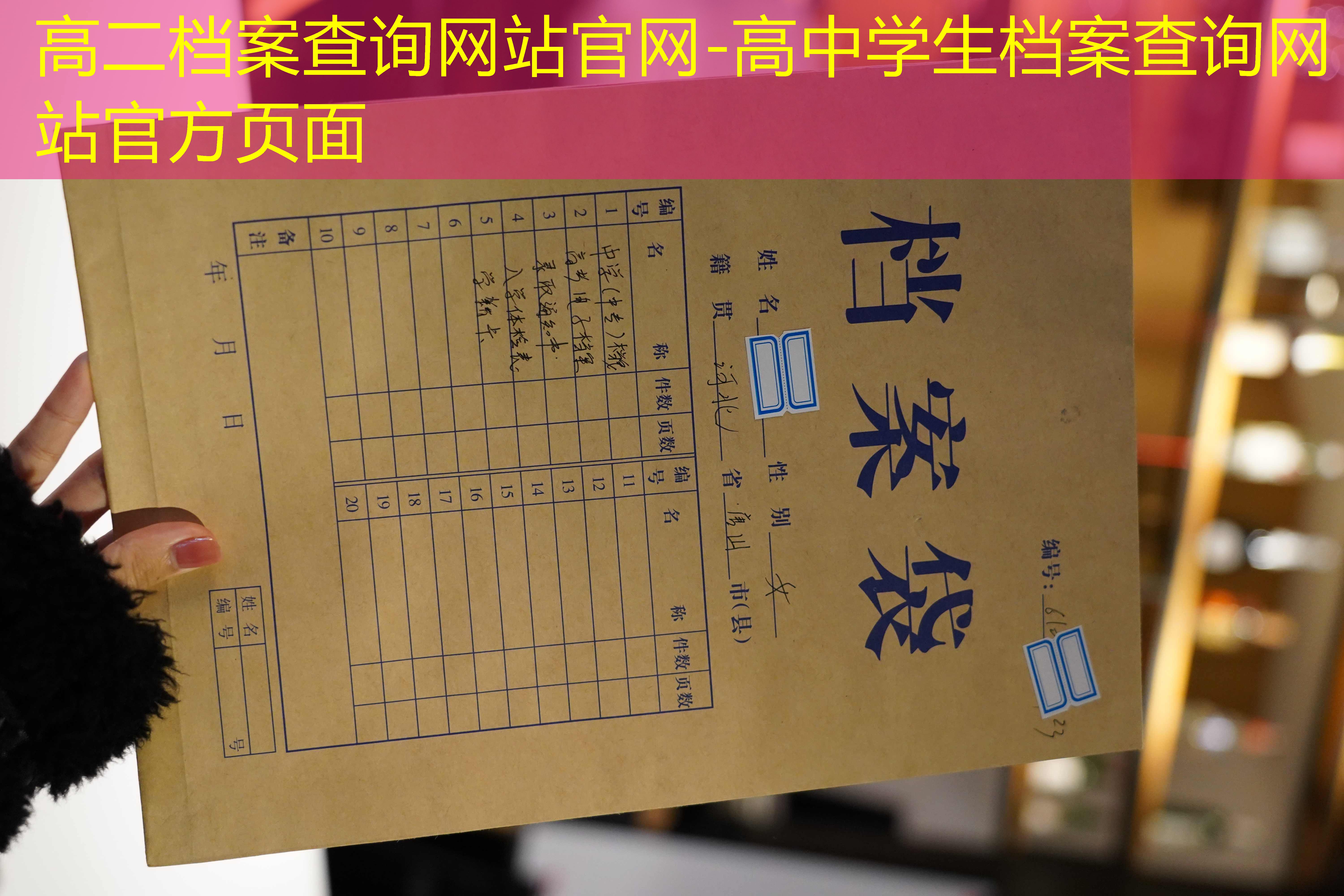 档案查询