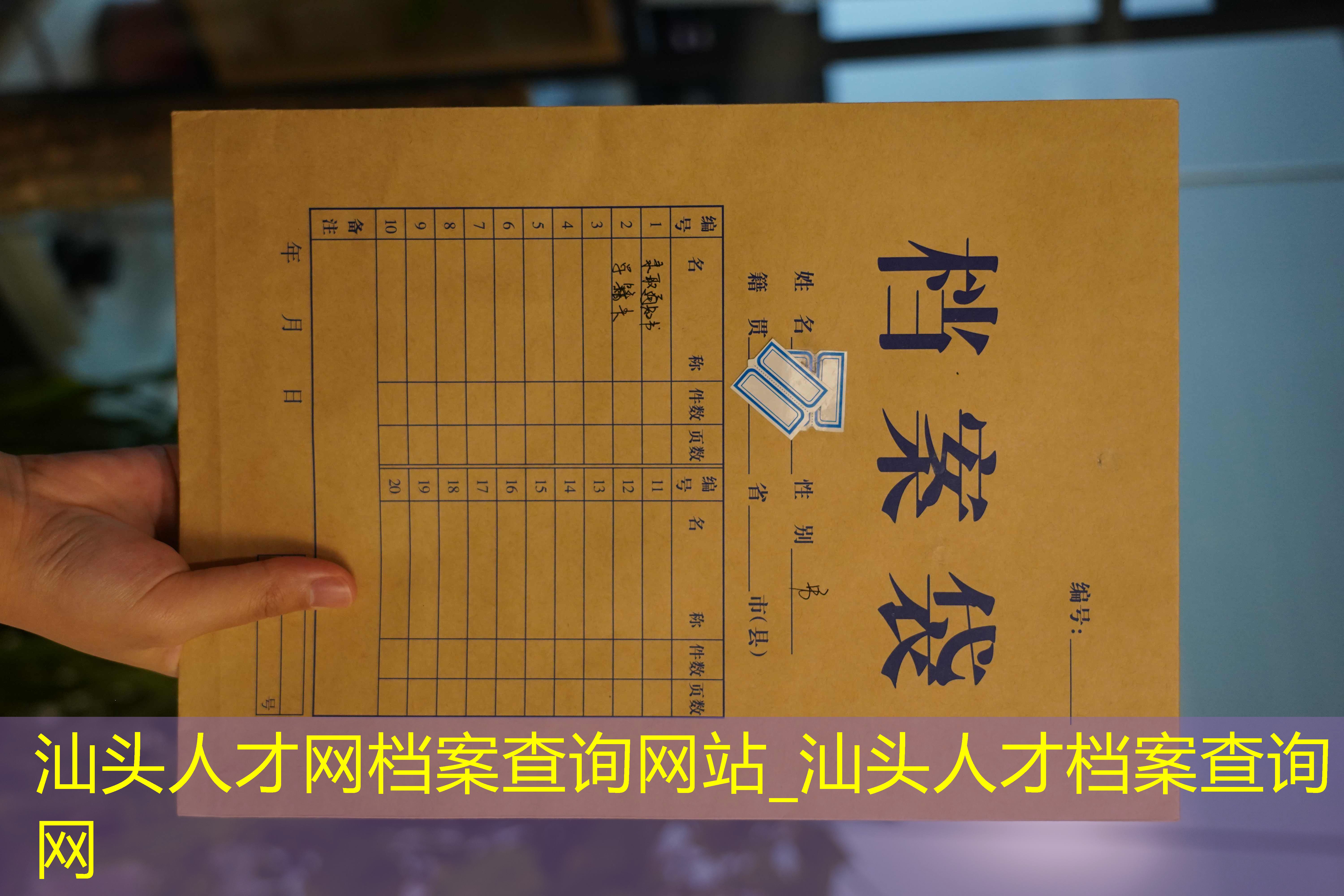 档案查询