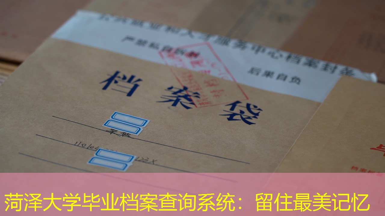 档案查询