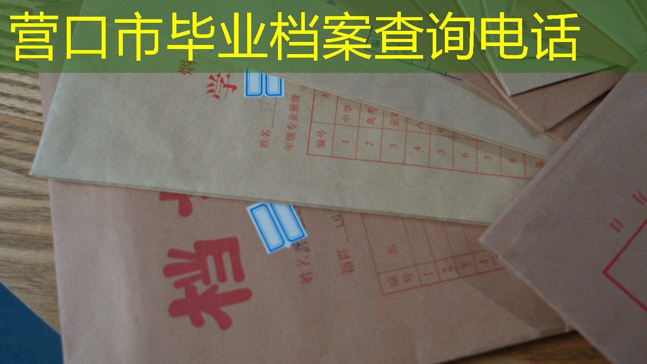 档案查询